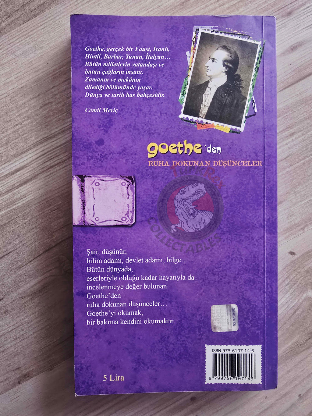 Goethe – Goethe's Thoughts That Touch The Soul 2006 Turkish Book Turkey
