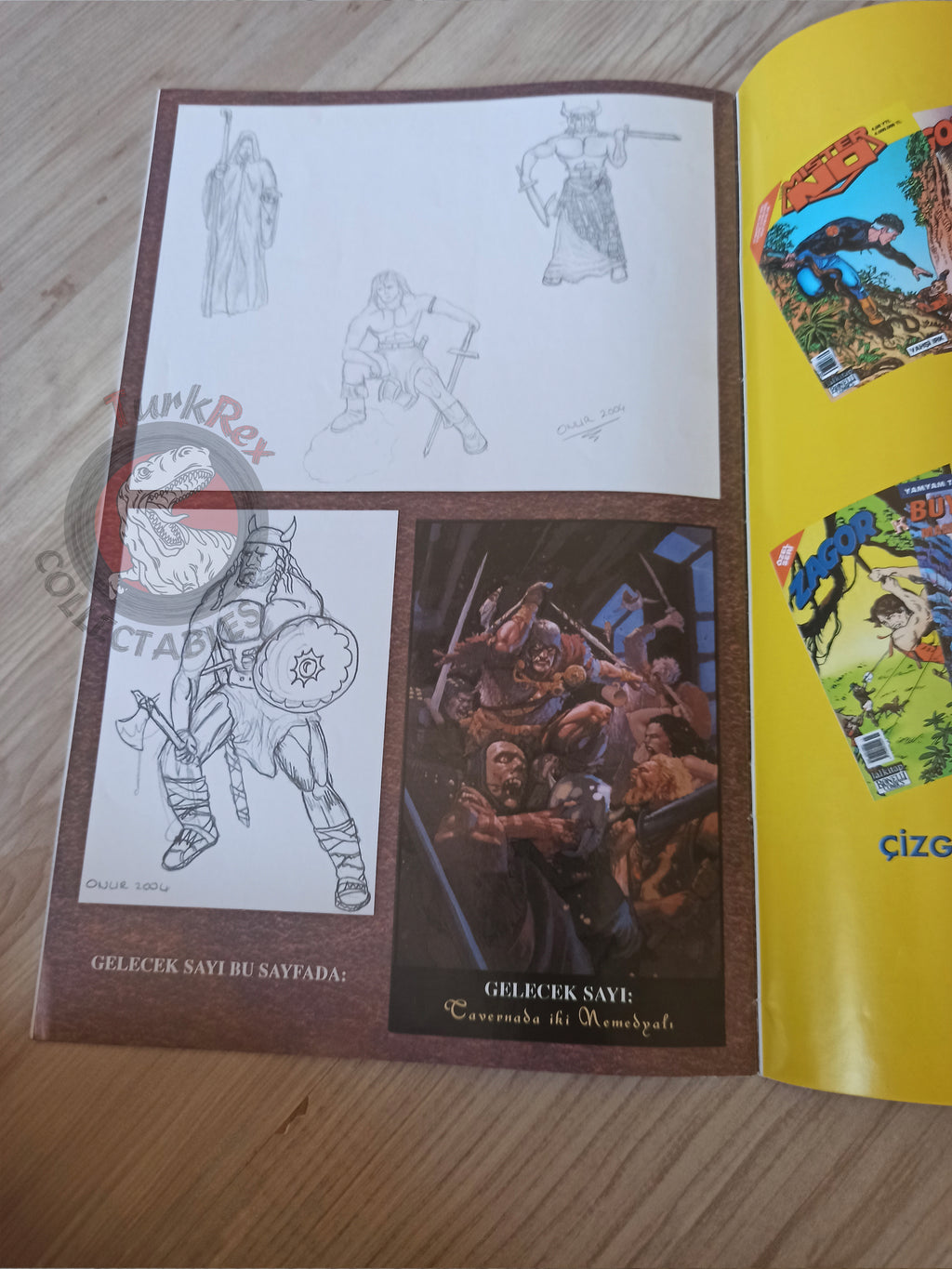 Conan the Legend #8 Turkish Comic Turkey Dark Horse Comics