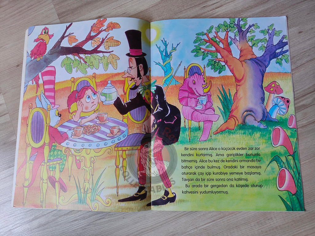 Lewis Carroll – Alice in Wonderland 2009 Turkish Book Turkey Illustrated 2