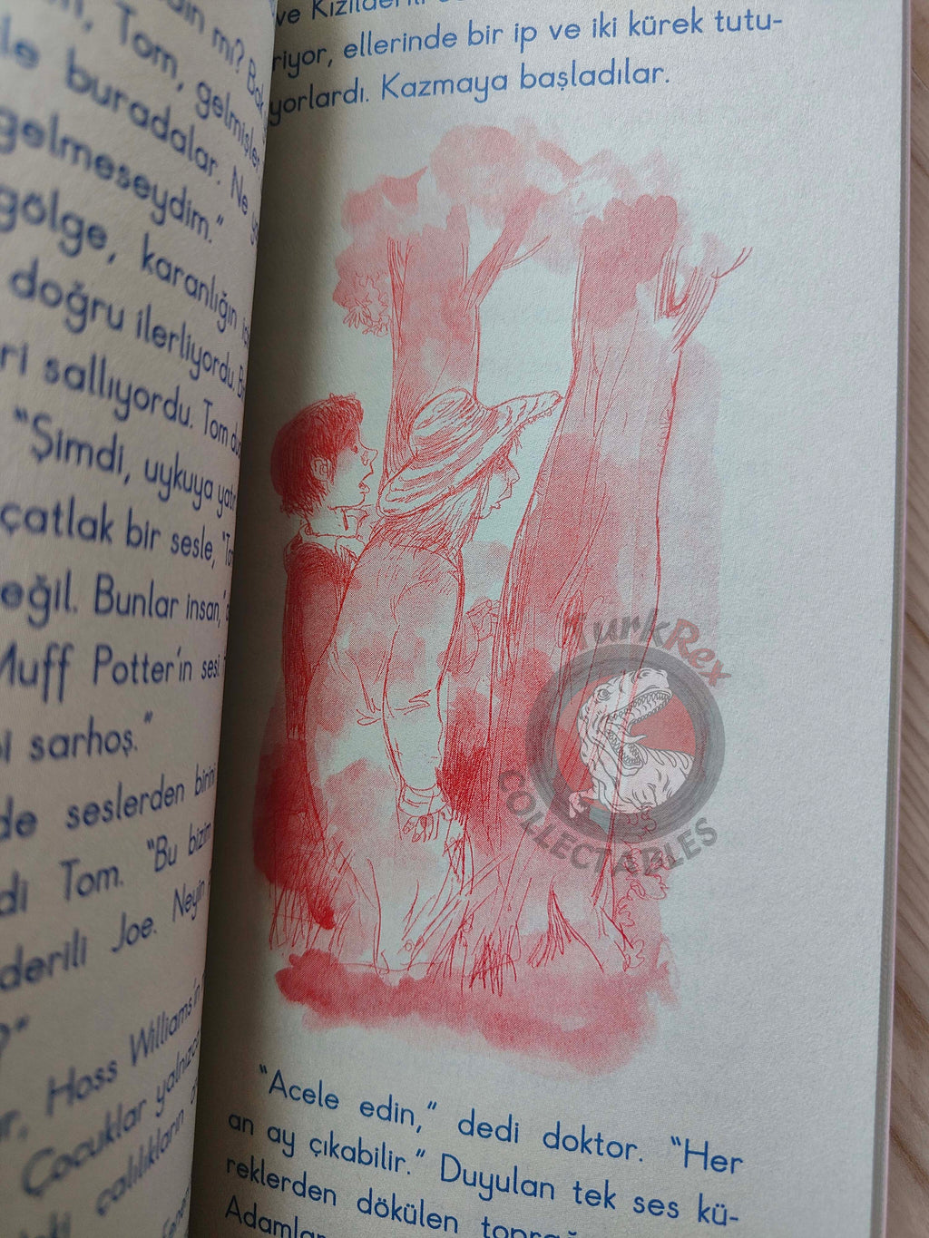 Mark Twain – Tom Sawyer 2010 Turkish Book Turkey Illustrated