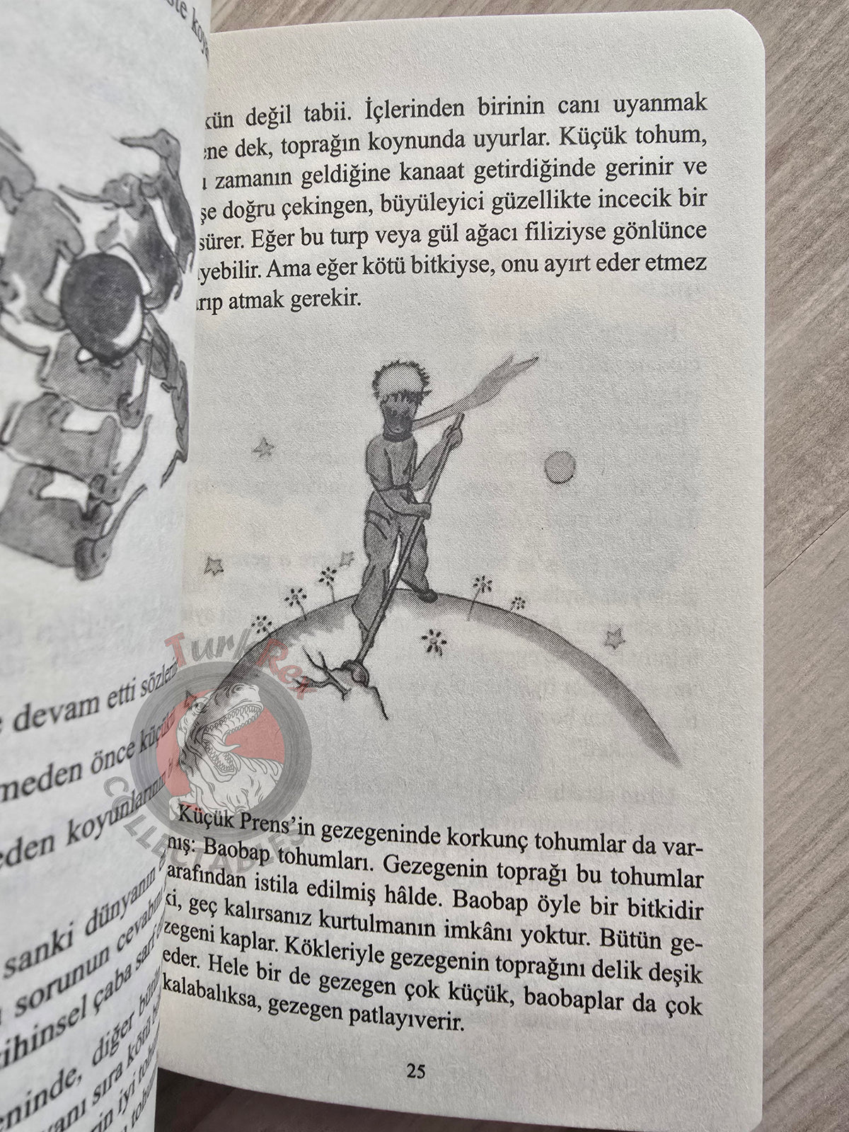 Antoine de Saint-Exupéry – Le Petit Prince 2019 Turkish Book Turkey Illustrated Little