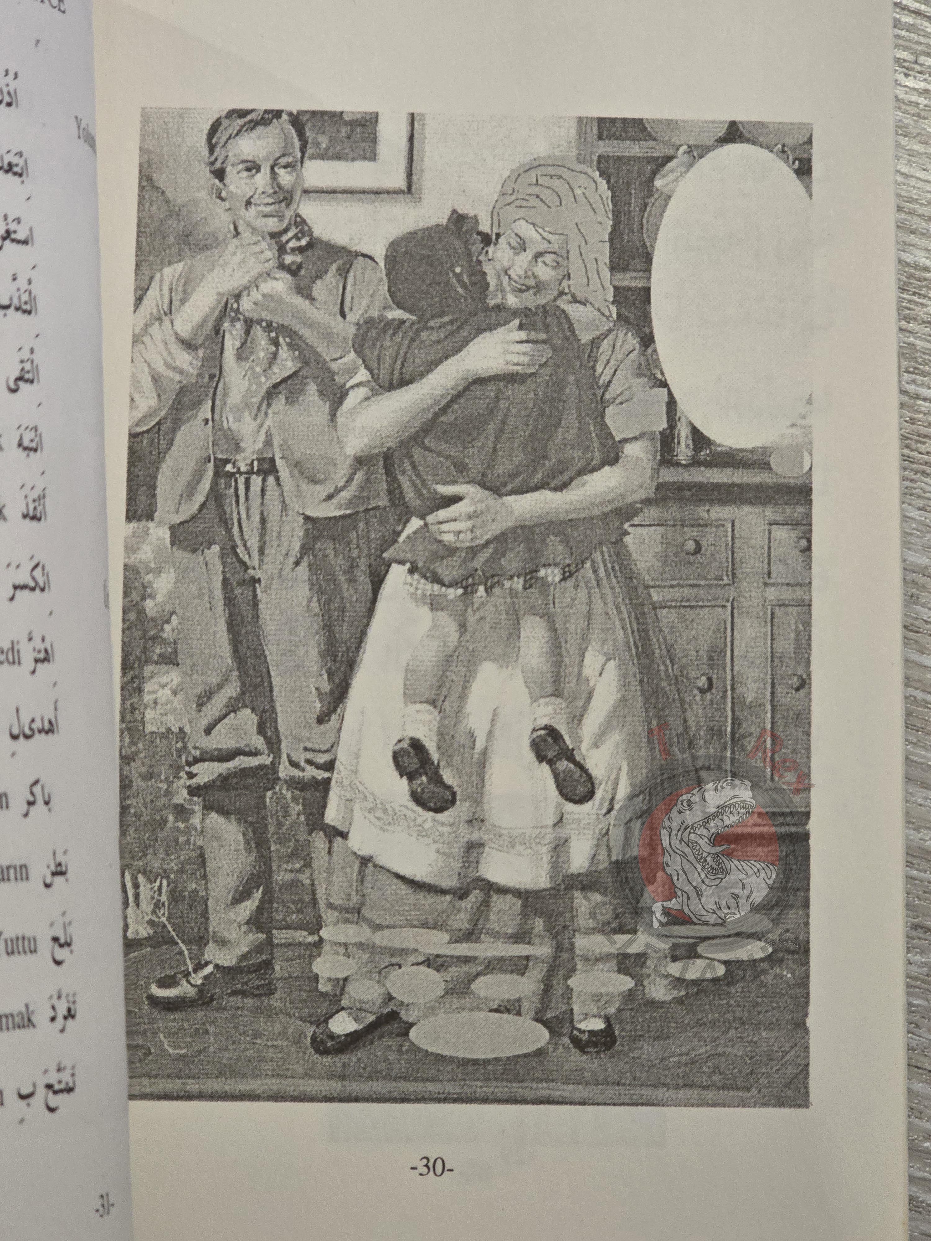 Little Red Riding Hood  – Grimm Brothers 2000s Arabic Book Turkey Illustrated