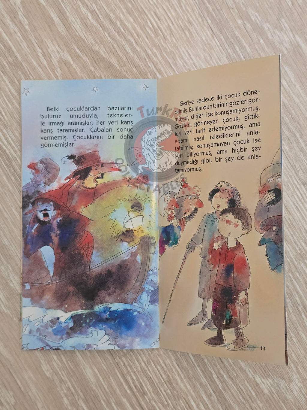 Grimm Brothers – Pied Piper of Hamelin 2011 Turkish Book Turkey Illustrated