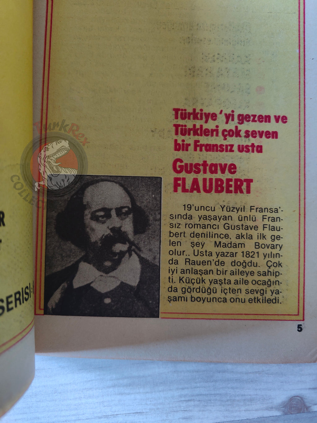 Madame Bovary – Gustave Flaubert Turkish Comic Turkey Classics Illustrated