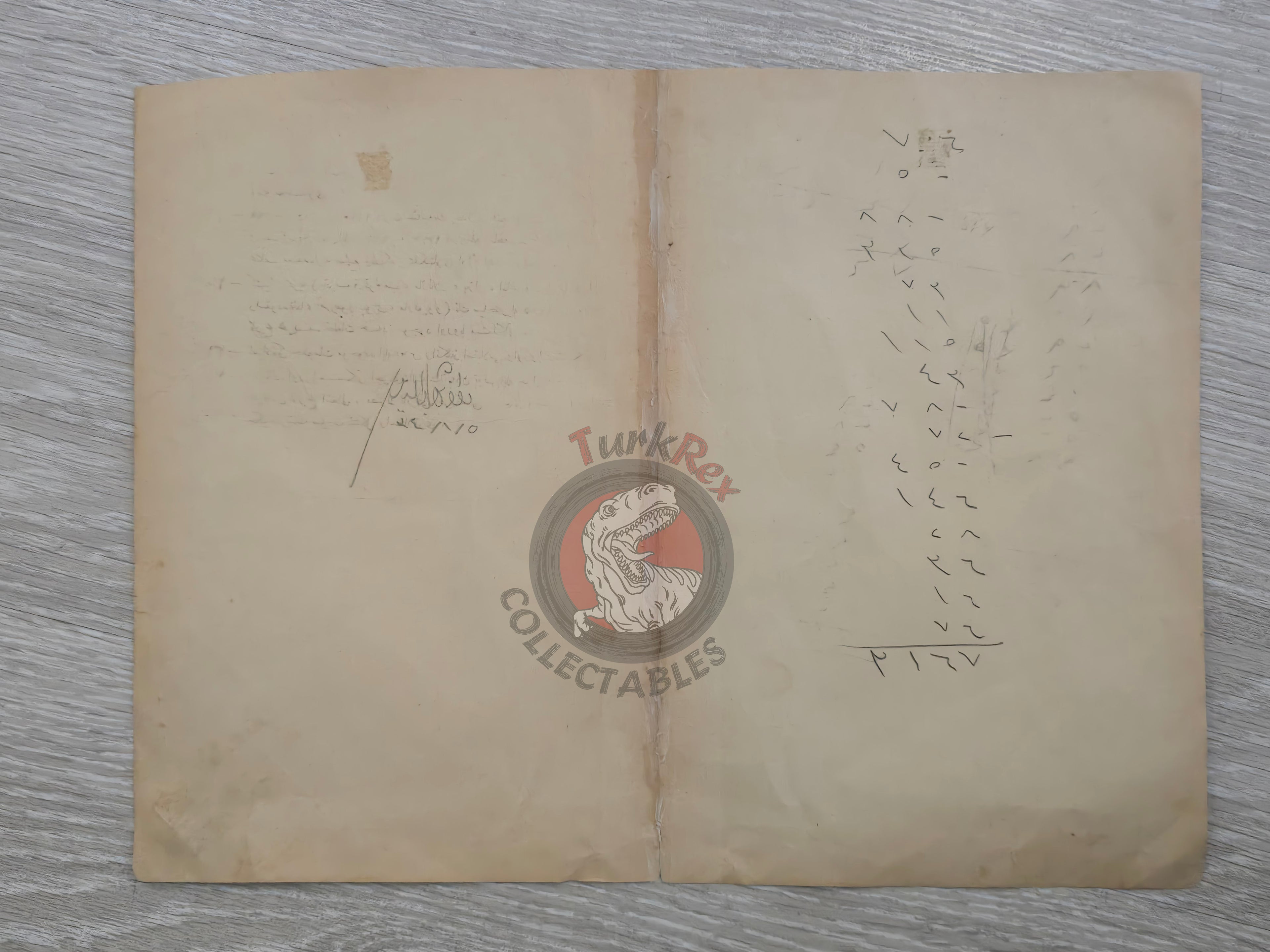 Human Race Palestine 1913 Ottoman Map Middle East Israel Syria Egypt