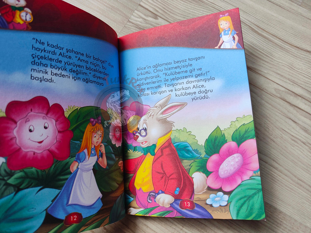 Lewis Carroll – Alice in Wonderland 2012 Turkish Book Turkey Illustrated
