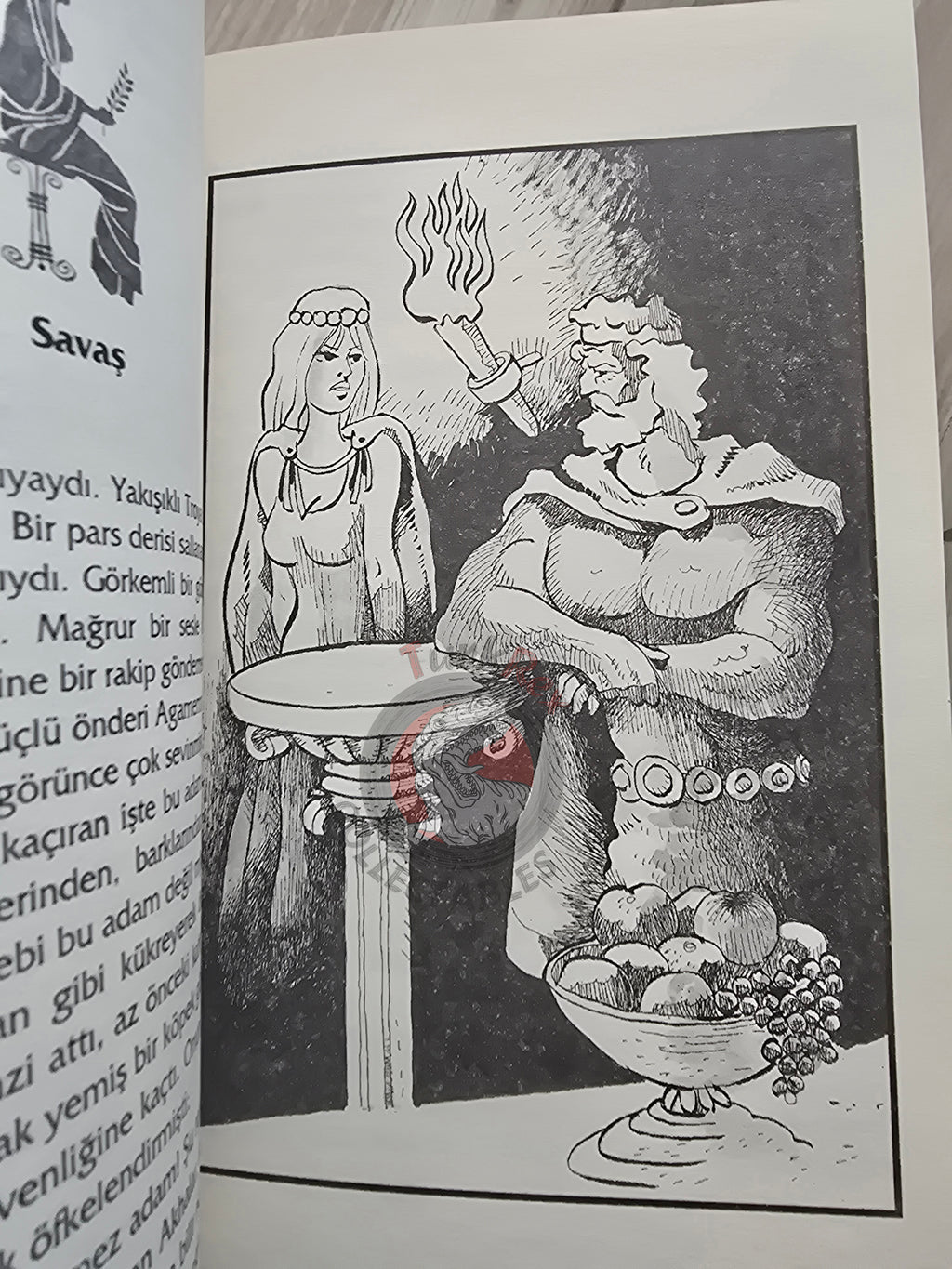 Iliad – Robert Krugmann 2003 Turkish Book Turkey Illustrated by Turkish Artist