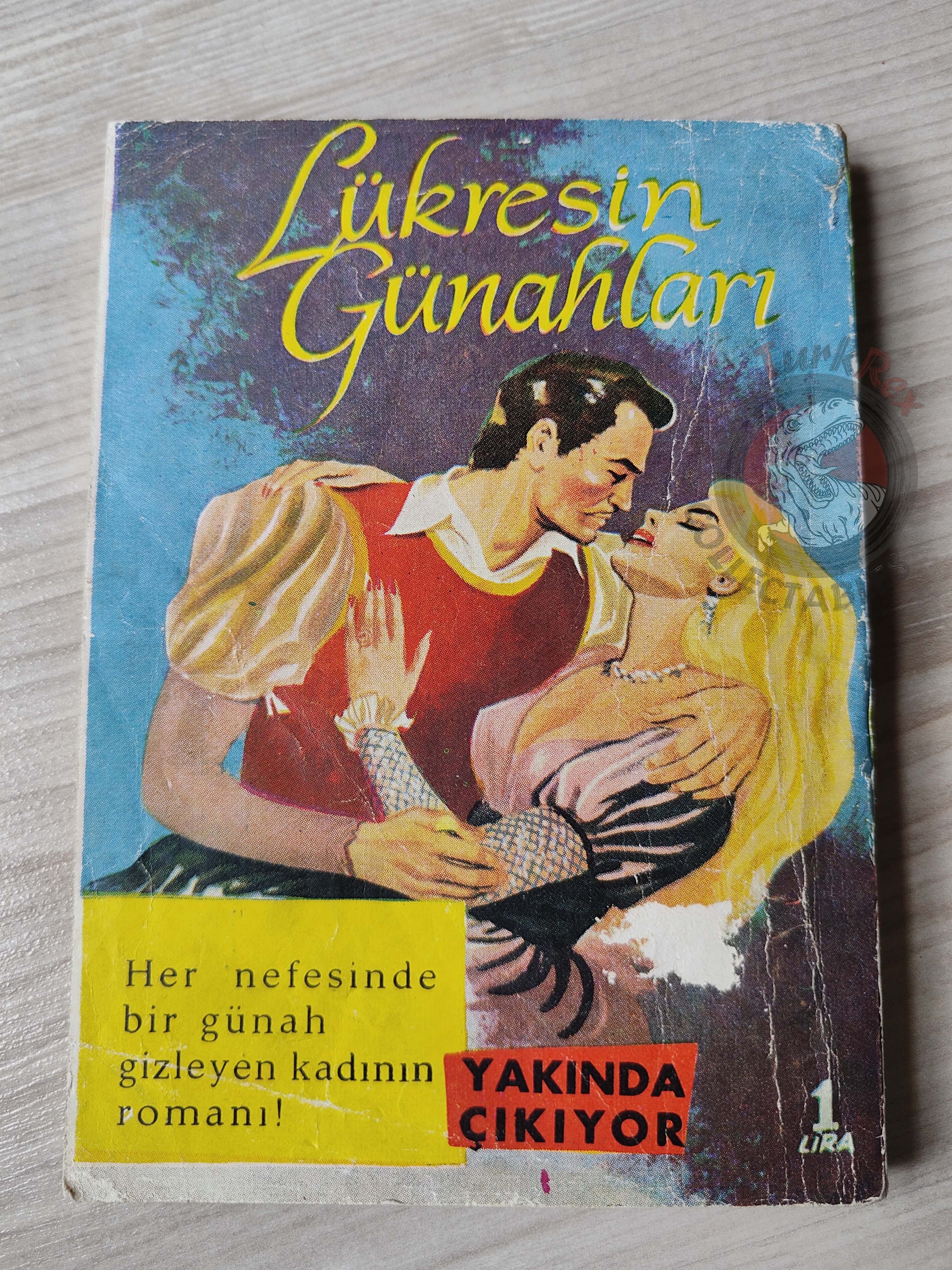 Ernest Hemingway – The Sun Also Rises 1955 1st Turkish Book Turkey