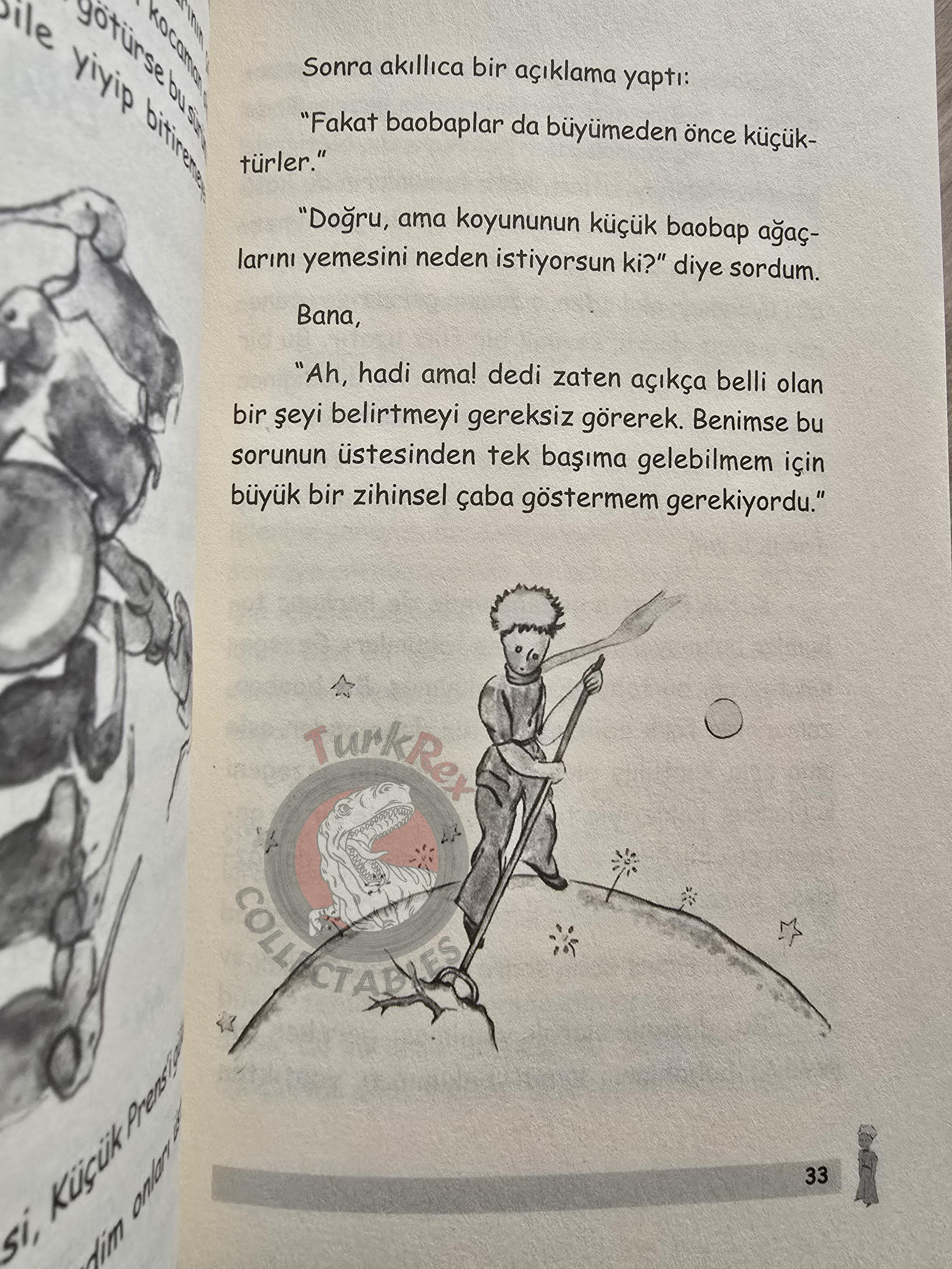 Antoine de Saint-Exupéry – Le Petit Prince 2022 Turkish Book Turkey Illustrated Little