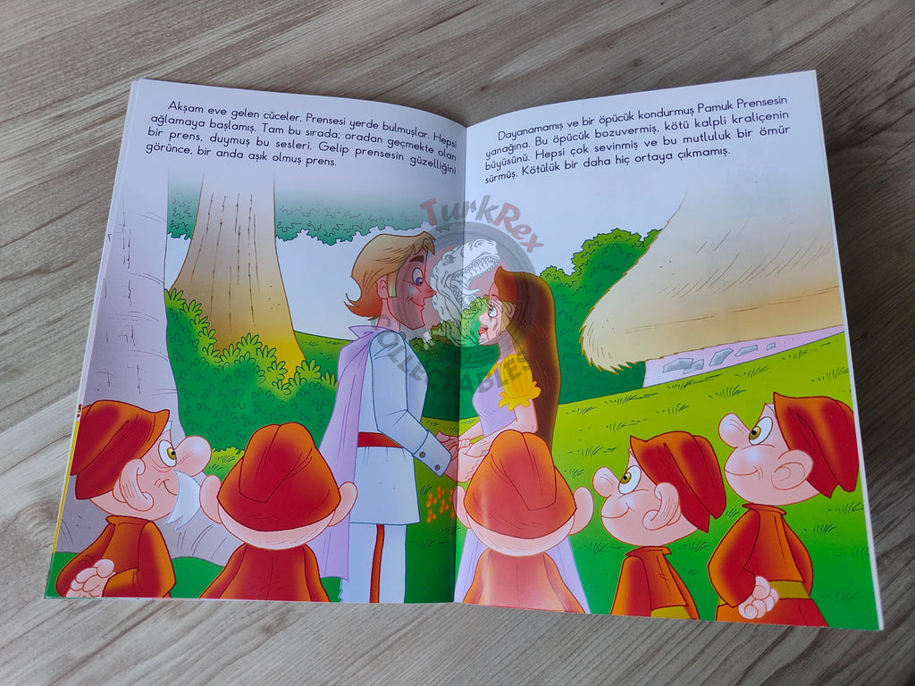 Grimm Brothers – Snow White and the Seven Dwarfs 2011 Turkish Book Turkey Illustrated 1