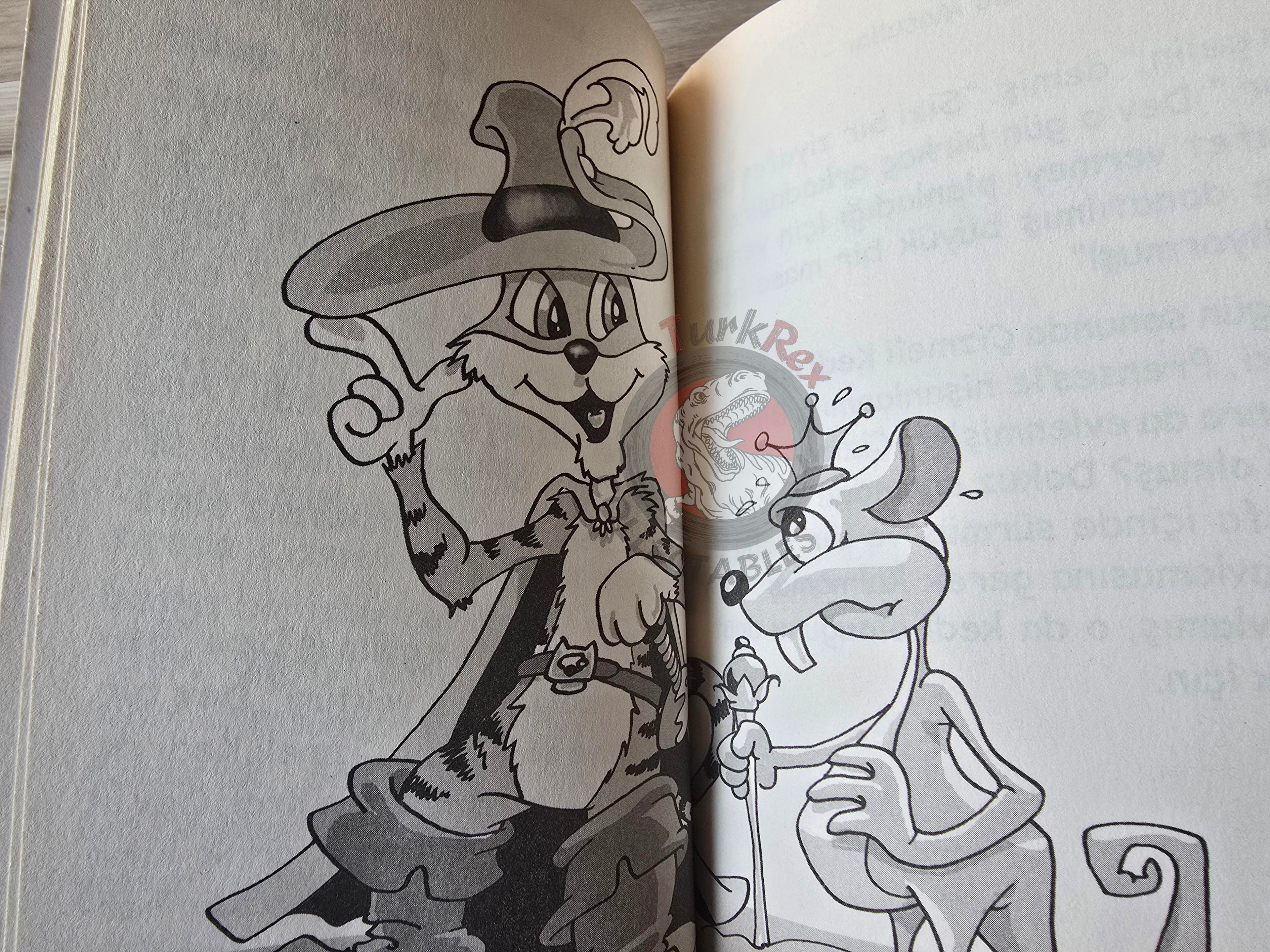 Puss in Boots – Grimm Brothers 2019 Turkish Book Turkey Illustrated