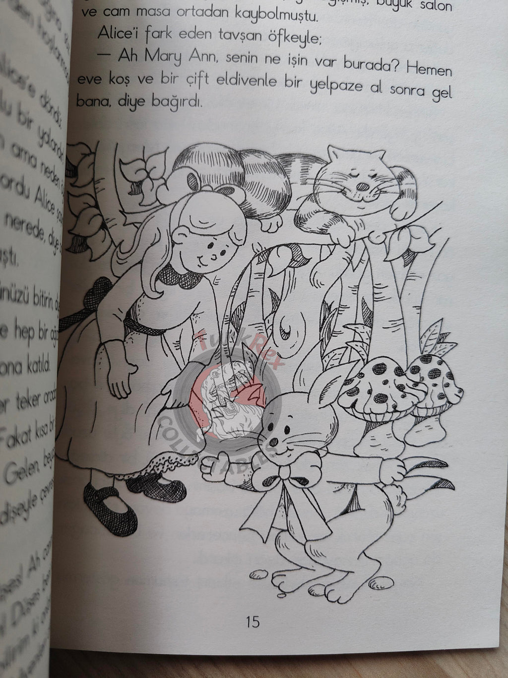 Lewis Carroll – Alice in Wonderland 2009 Turkish Book Turkey Illustrated