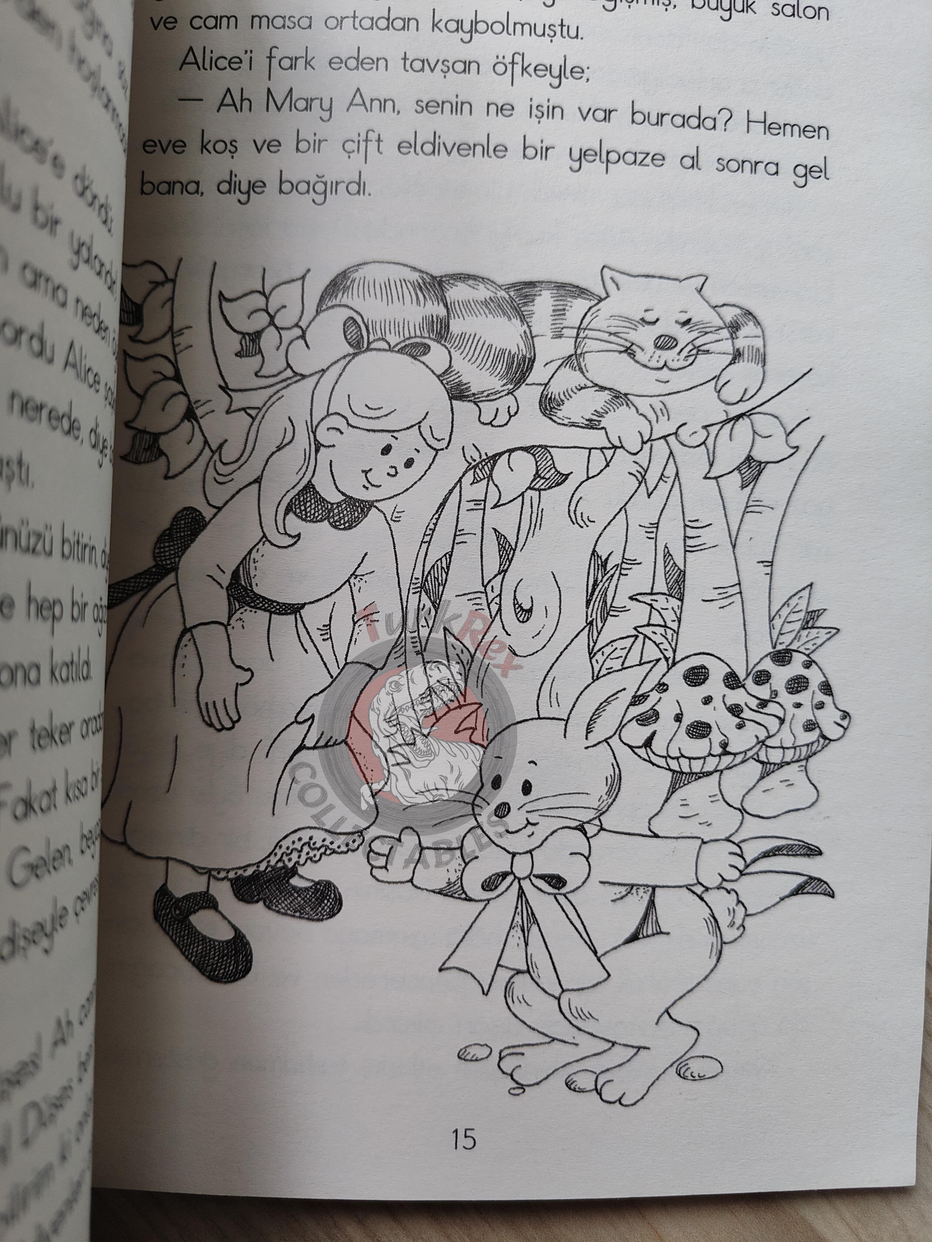 Lewis Carroll – Alice in Wonderland 2009 Turkish Book Turkey Illustrated