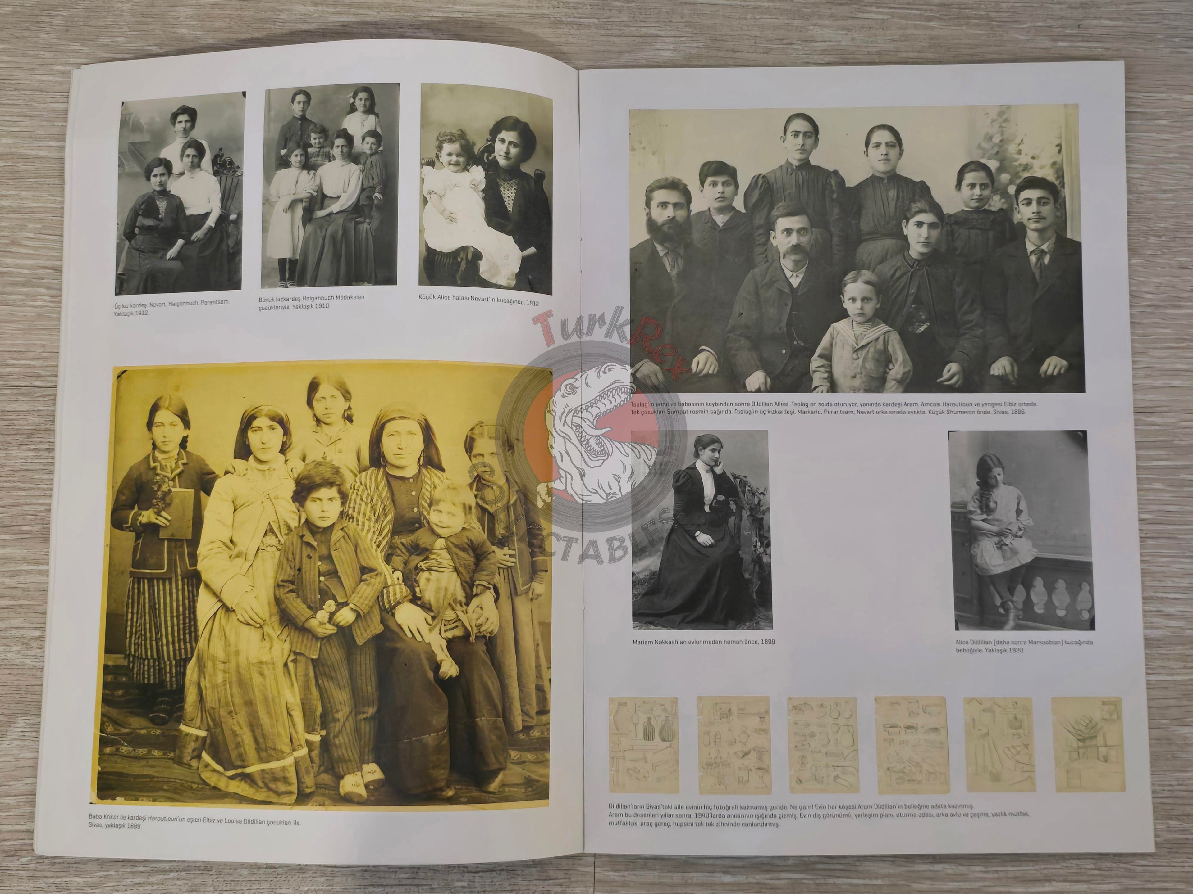 The Lost History of an Armenian Family Dildilian Brothers 2015 Turkish Book Turkey Armenia