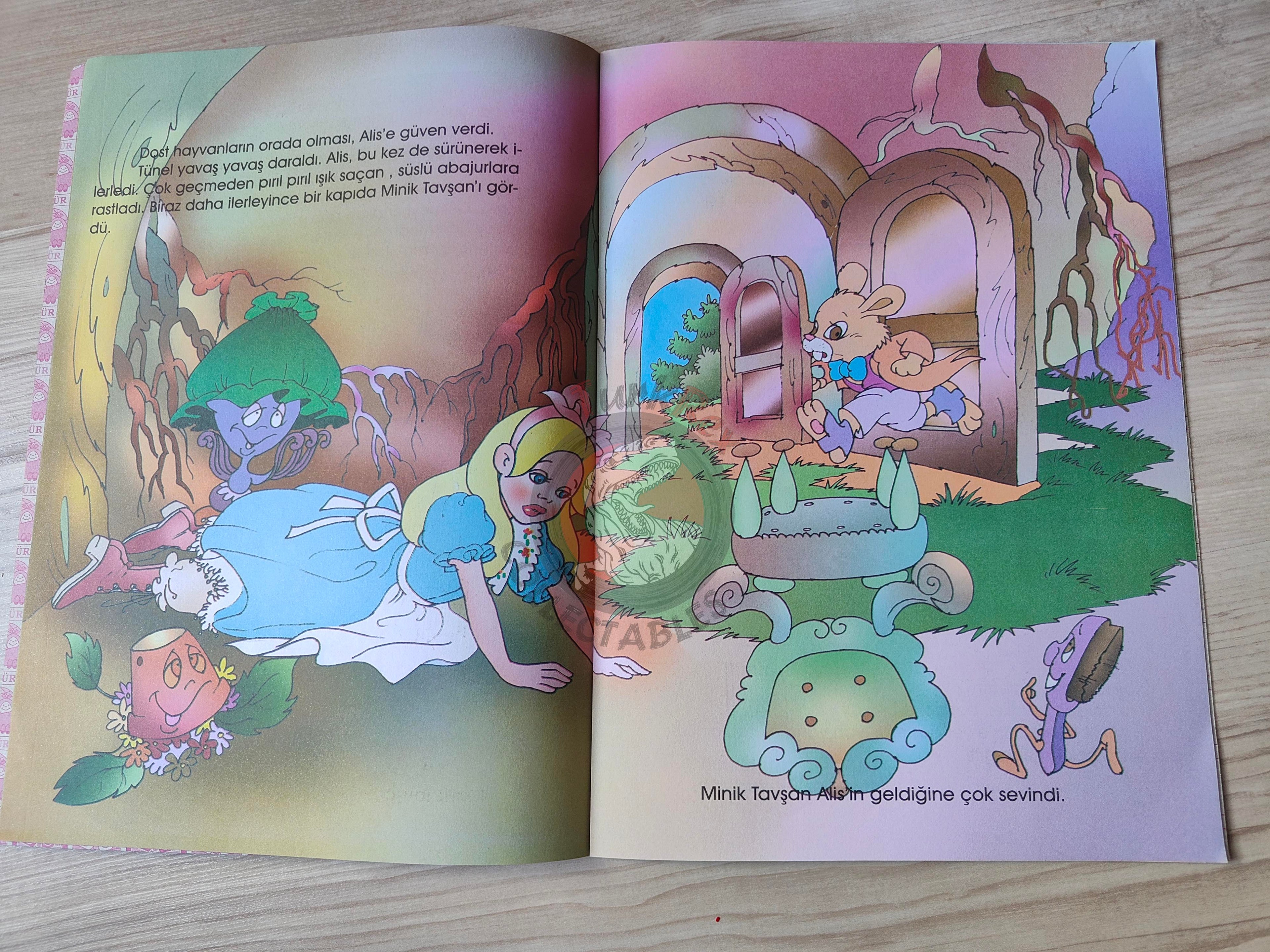 Lewis Carroll – Alice in Wonderland 2000s Turkish Book Turkey Illustrated 1
