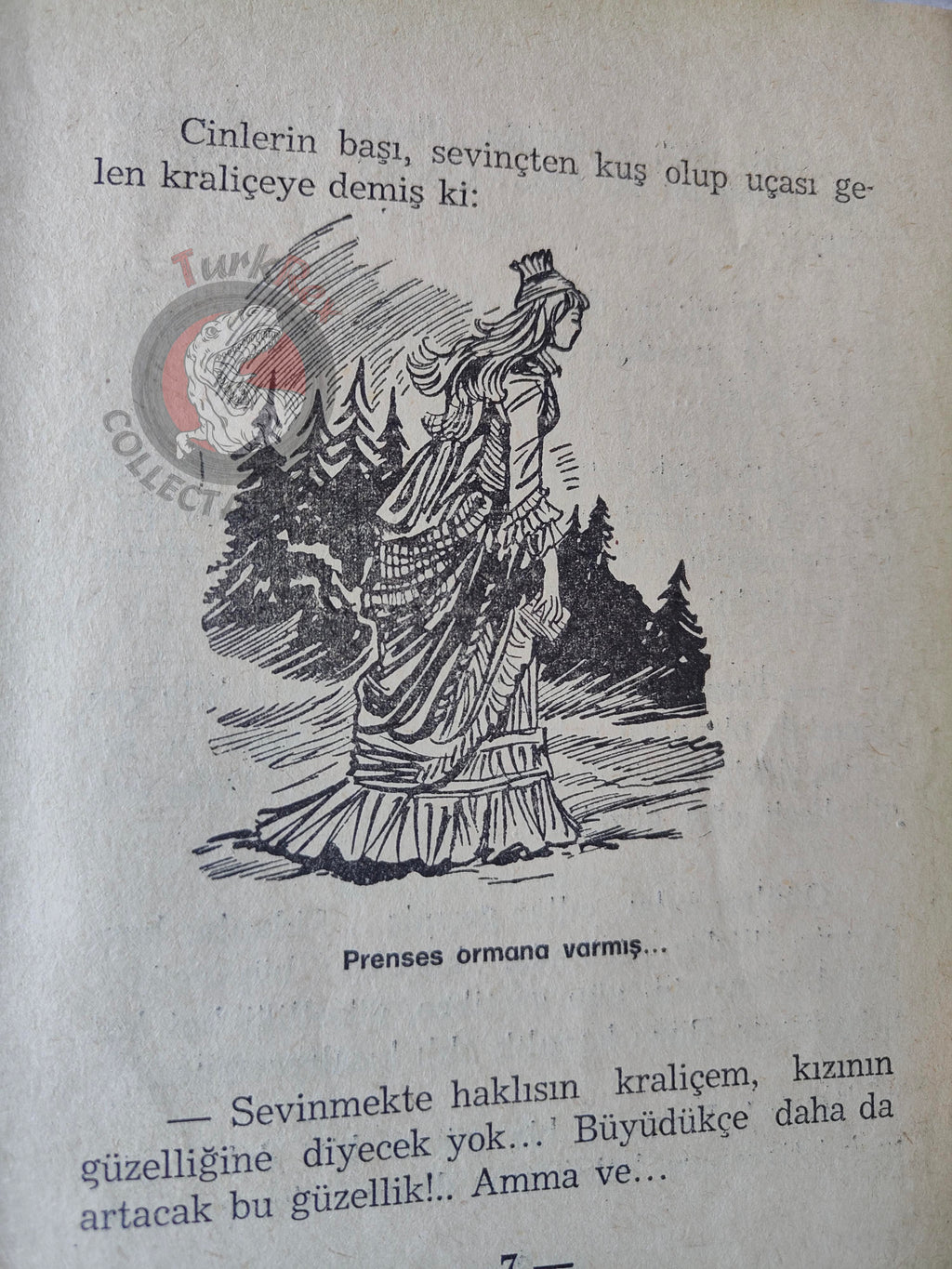 Grimm Brothers – The Frog Prince 1975 Turkish Book Turkey Illustrated