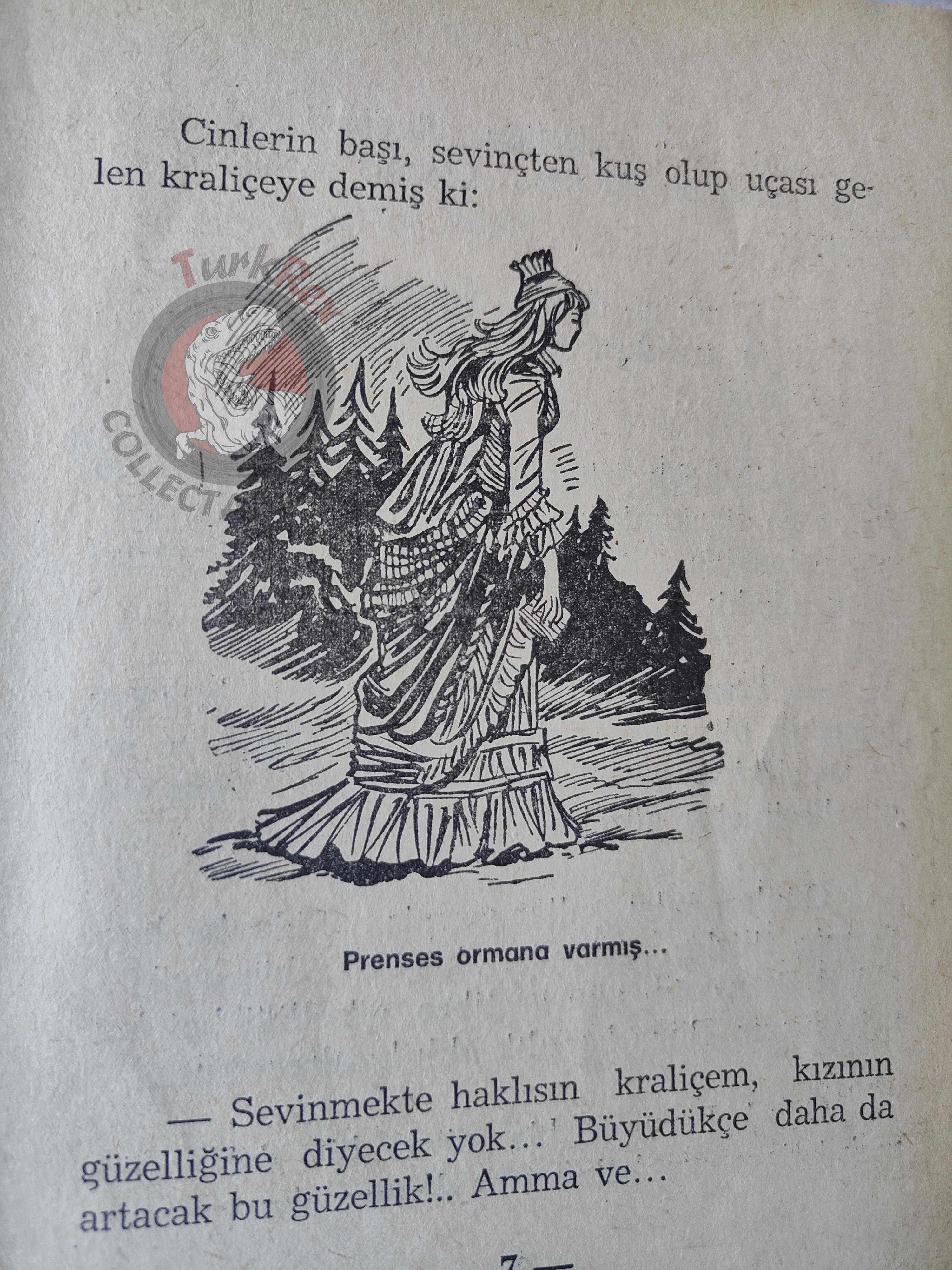 Grimm Brothers – The Frog Prince 1975 Turkish Book Turkey Illustrated