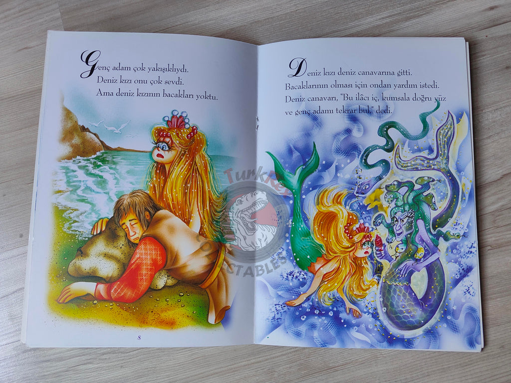 Hans Christian Andersen – The Little Mermaid 2000s Turkish Book Turkey Illustrated