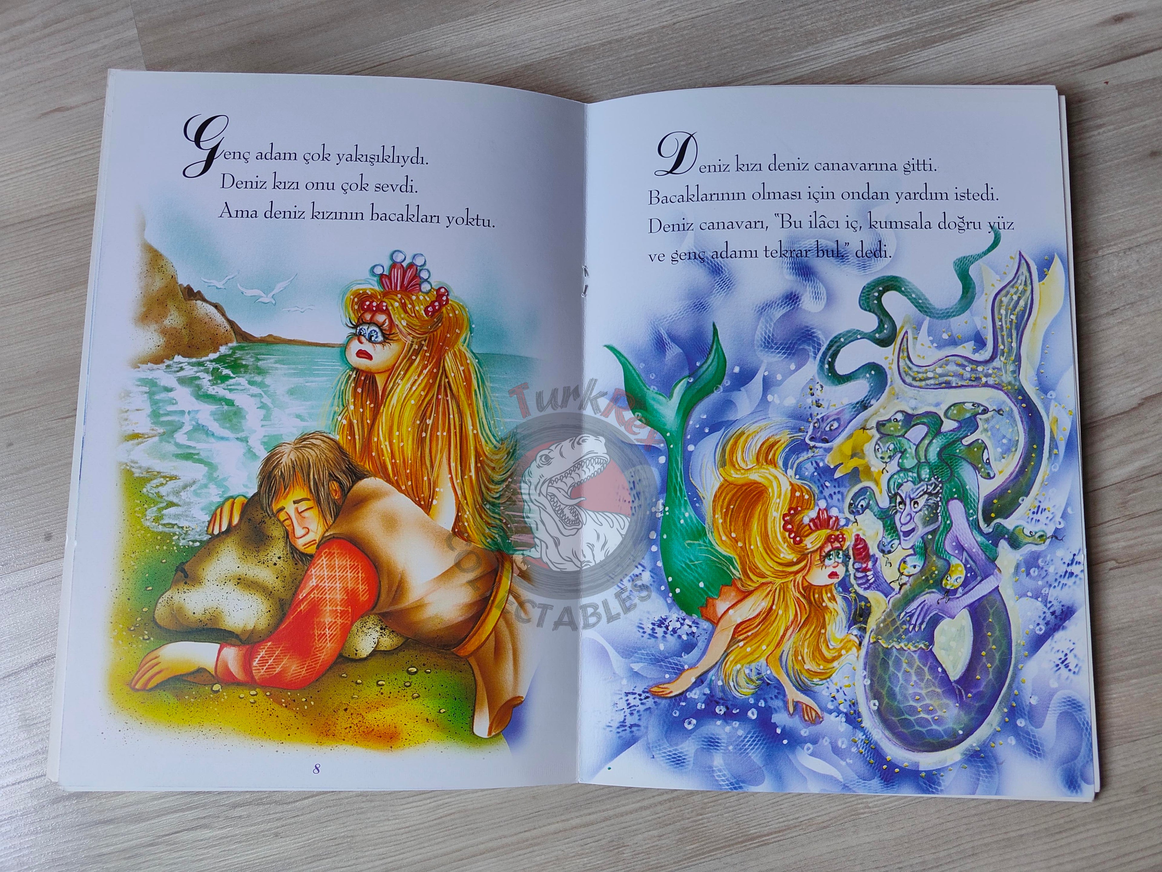 Hans Christian Andersen – The Little Mermaid 2000s Turkish Book Turkey Illustrated