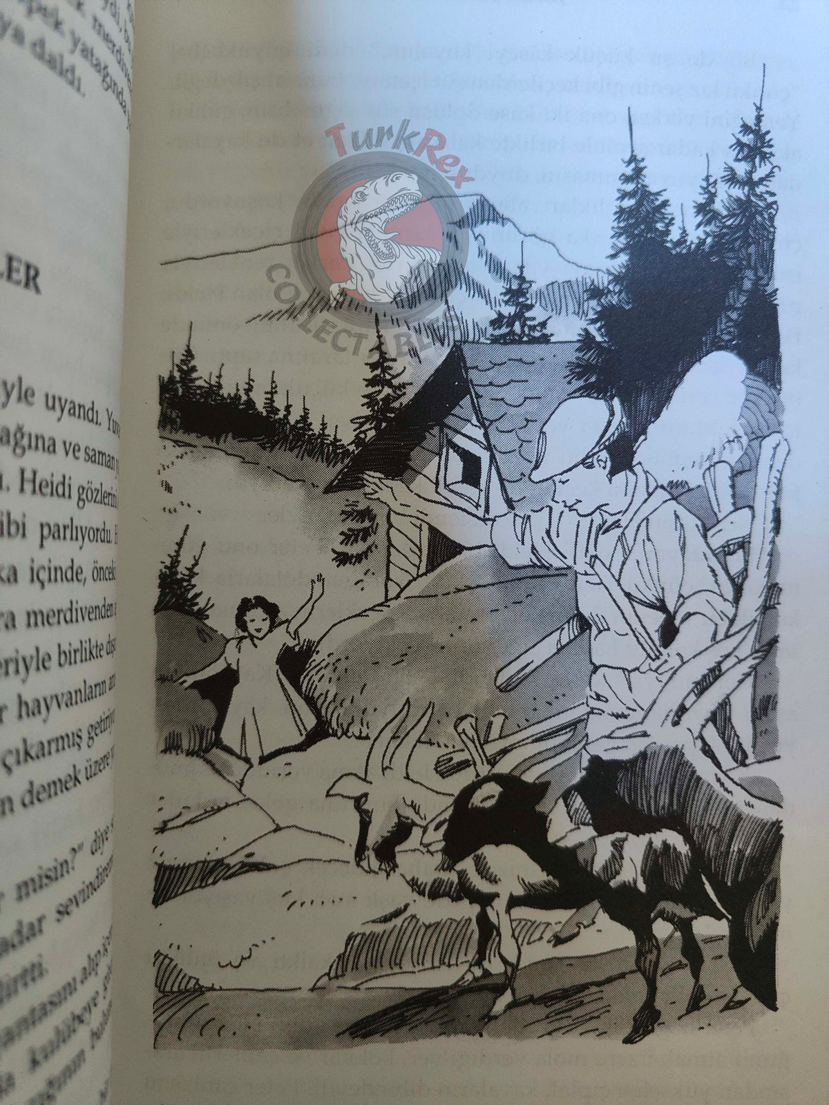 Johanna Spyri – Heidi 2002 Turkish Book Turkey Illustrated