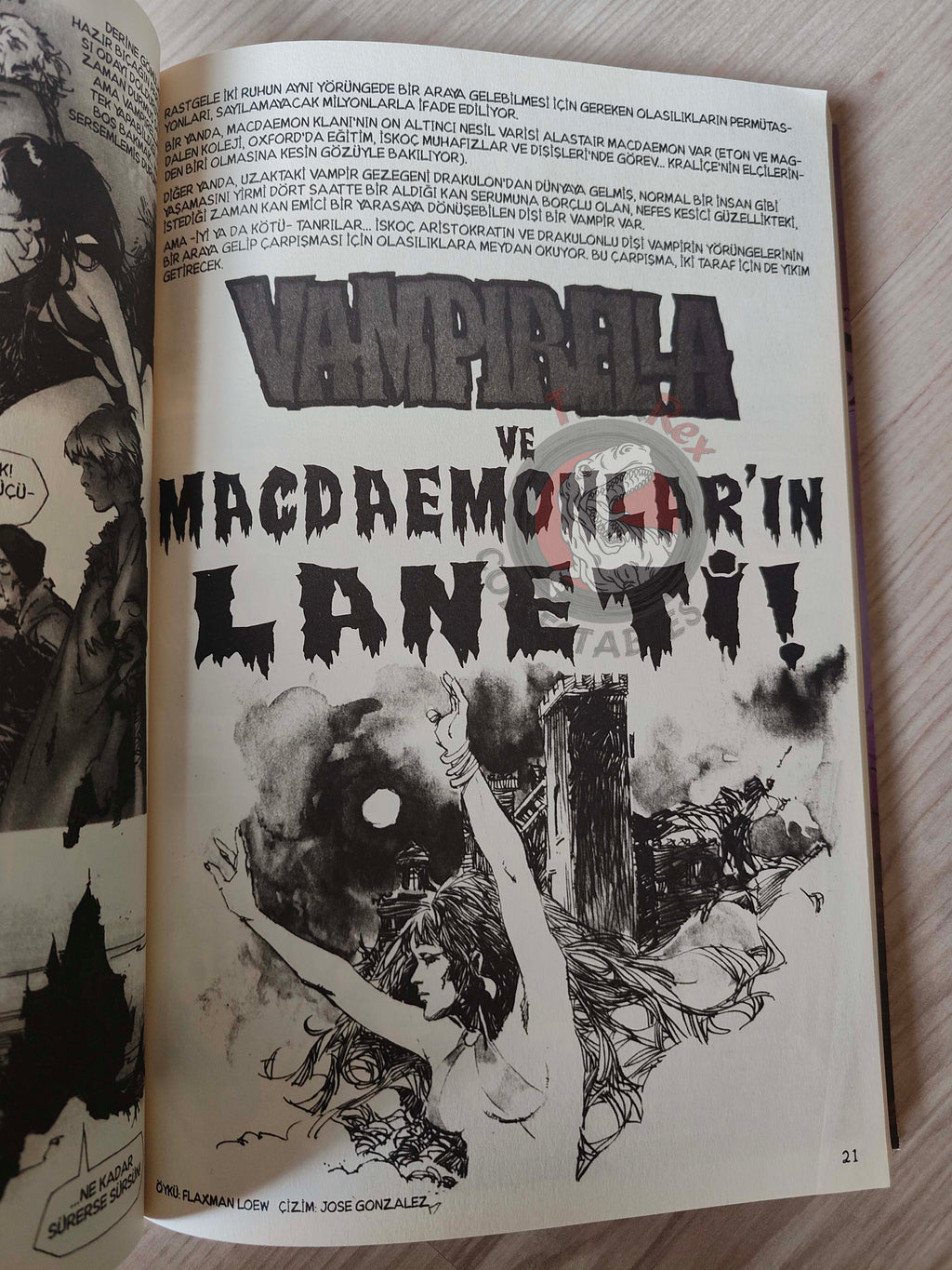 Vampirella Crimson Chronicles #3 2010 Turkish Comic Turkey Enrich