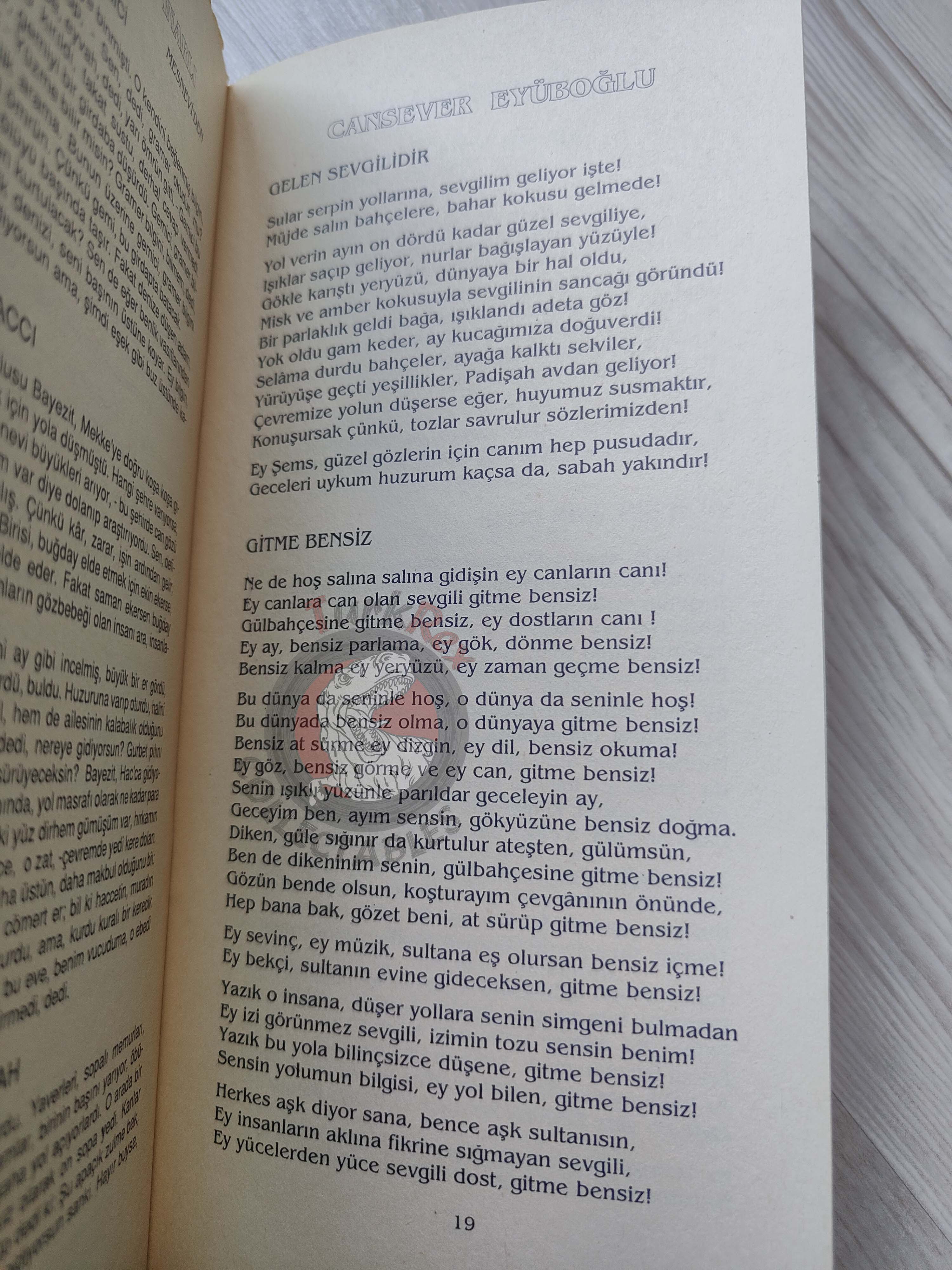 Mevlana Rumi – Selected Poems Turkish Book Turkey