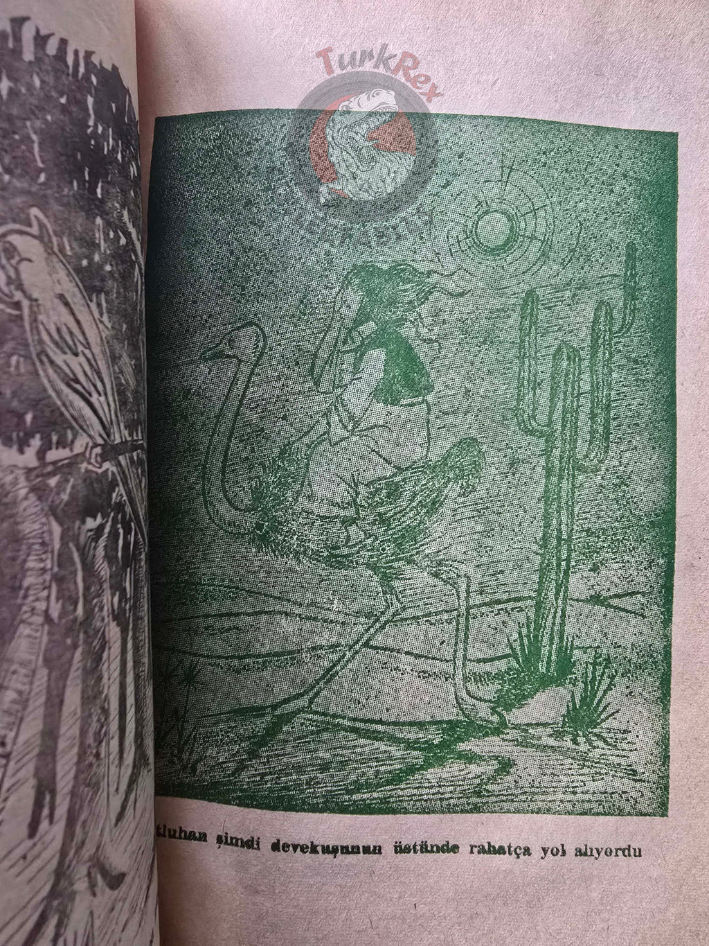 Saadet Uğurer – Kingdom of Cats 1963 Turkish Book Turkey Illustrated