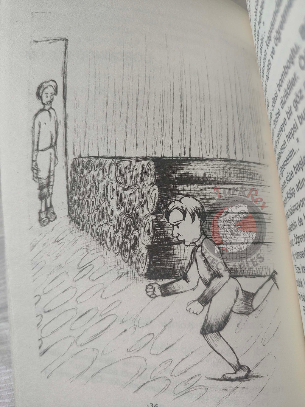 Ferenc Molnár – The Paul Street Boys 2013 Turkish Book Turkey Illustrated