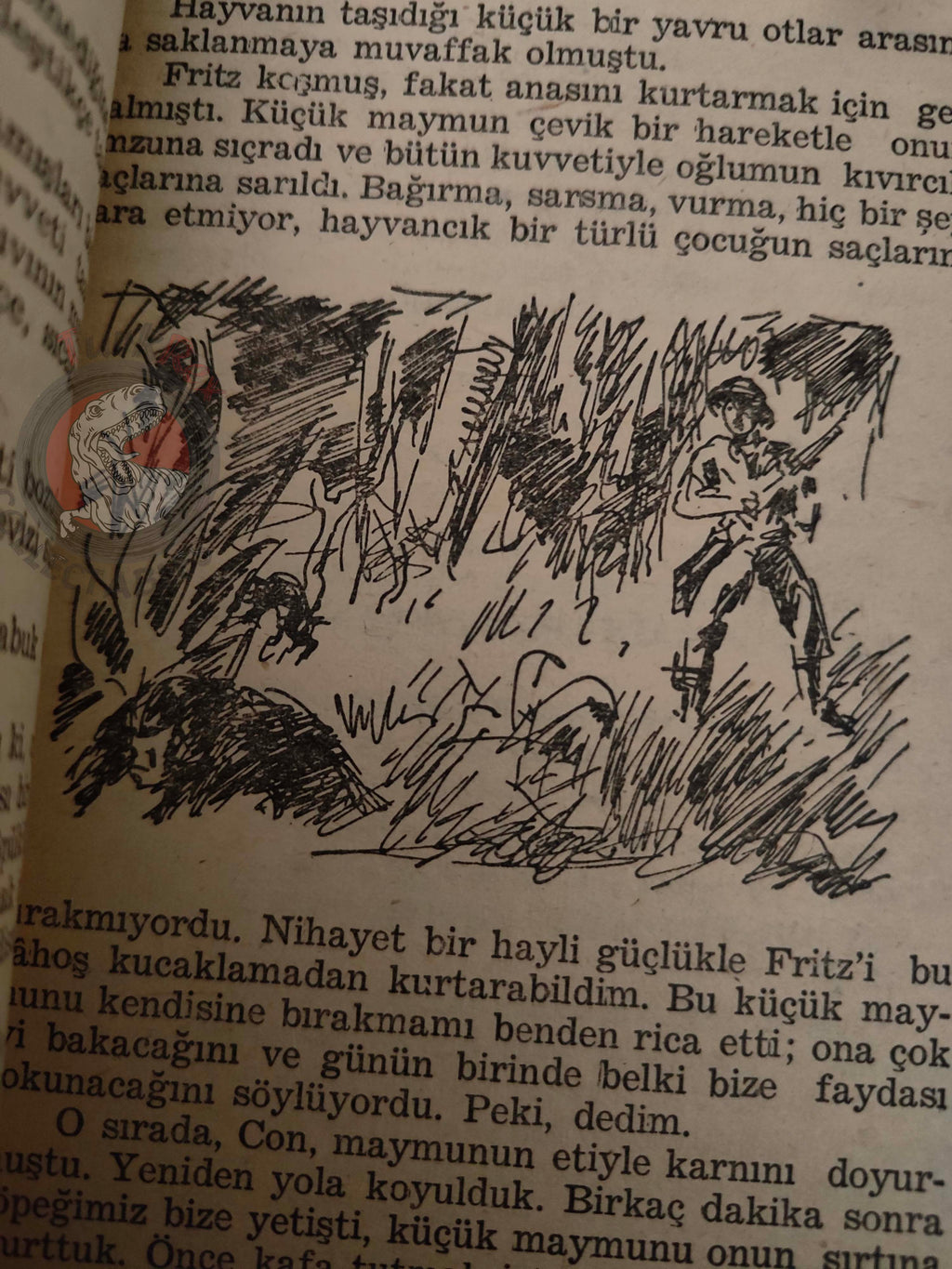 Johann David Wyss – The Swiss Family Robinson 1957 Turkish Book Turkey Illustrated