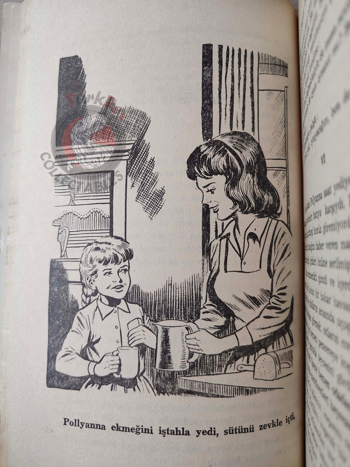 Eleanor H. Porter – Pollyanna 1965 Turkish Book Turkey Illustrated