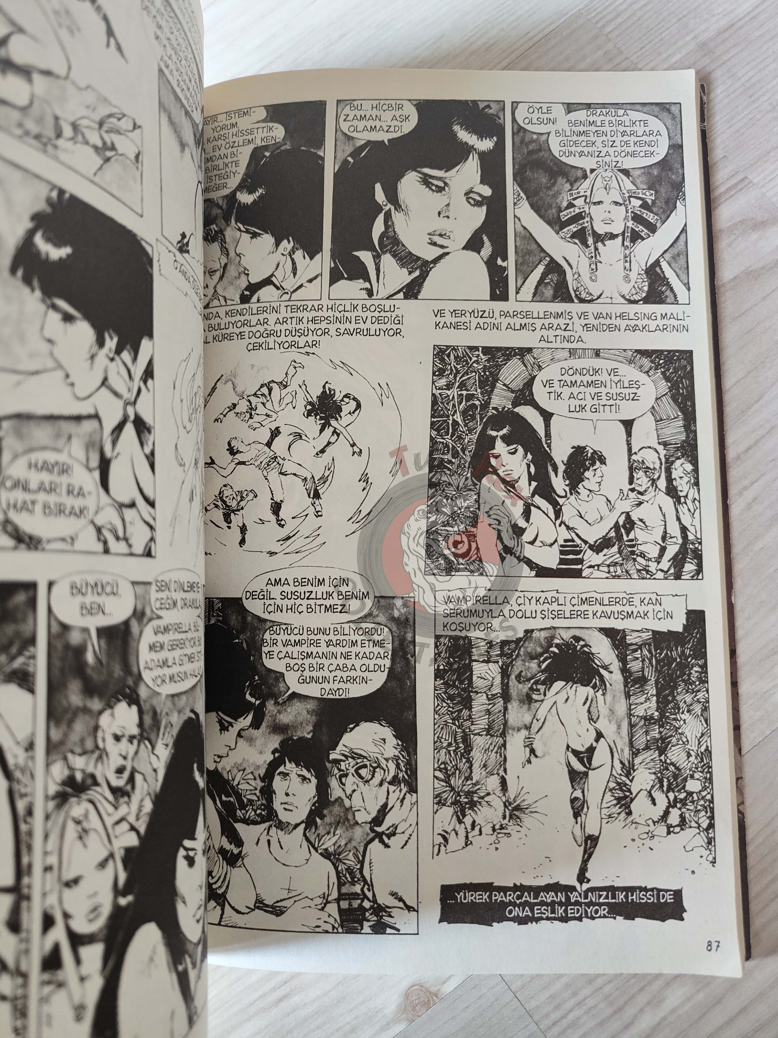 Vampirella Crimson Chronicles #2 2010 Turkish Comic Turkey Enrich