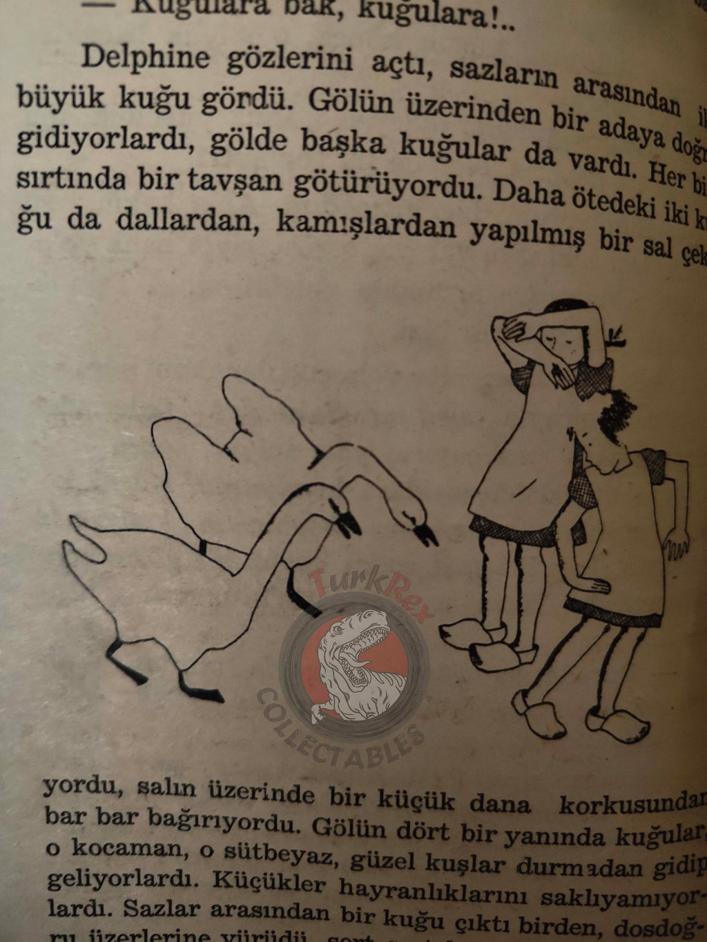 Marcel Aymé – Wonderful Farm 1960 Turkish Book Turkey Illustrated