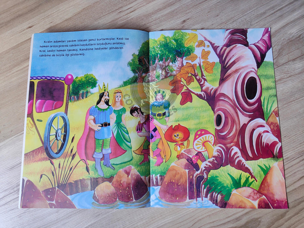 Puss in Boots – Grimm Brothers 2013 Turkish Book Turkey Illustrated