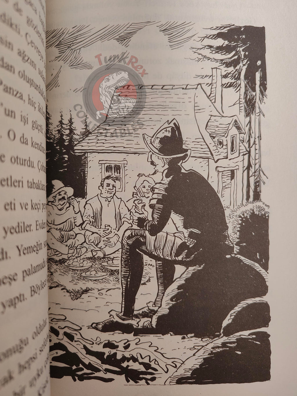 Miguel de Cervantes – Don Quixote 2013 Turkish Book Turkey Illustrated