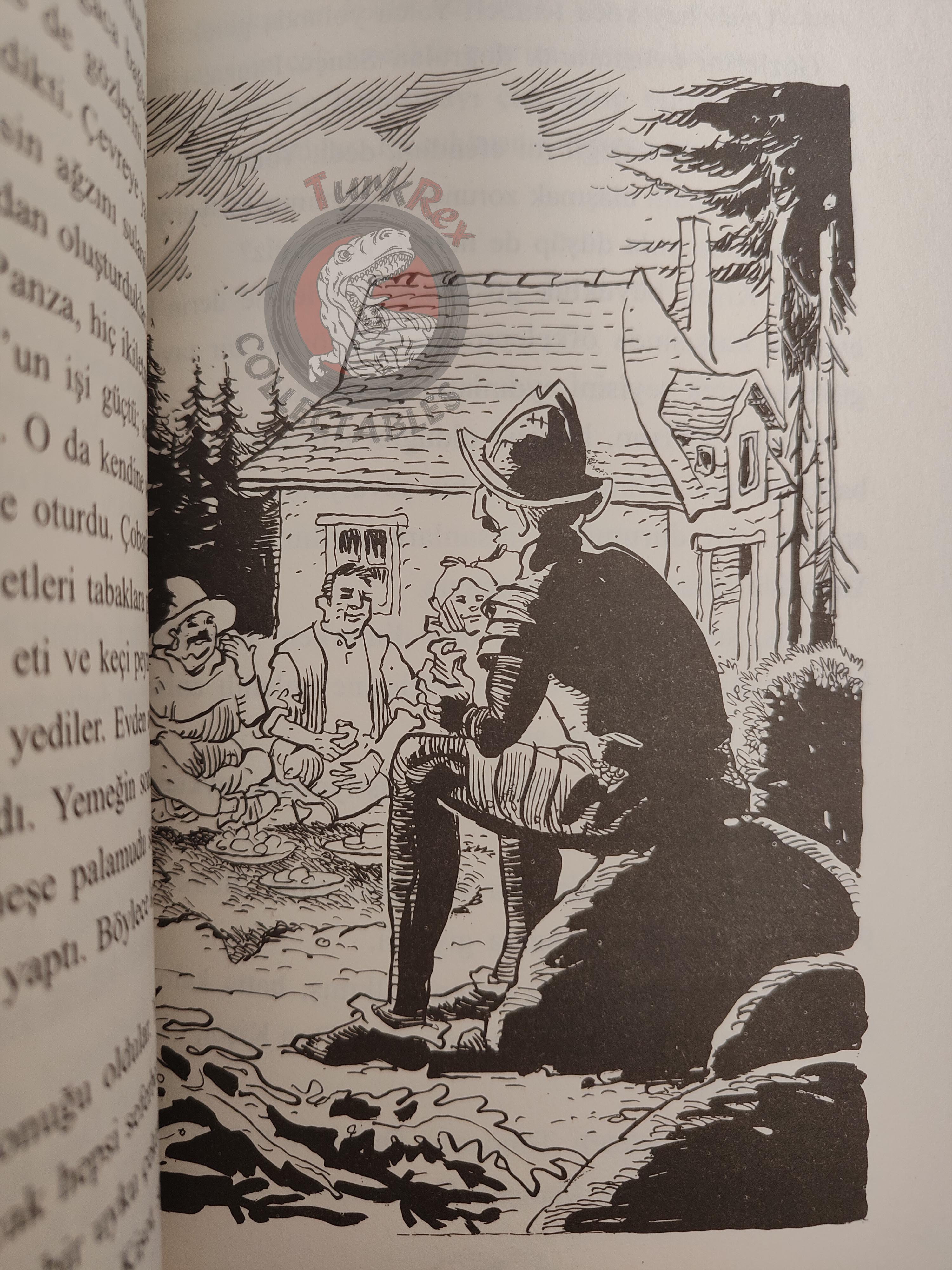 Miguel de Cervantes – Don Quixote 2013 Turkish Book Turkey Illustrated