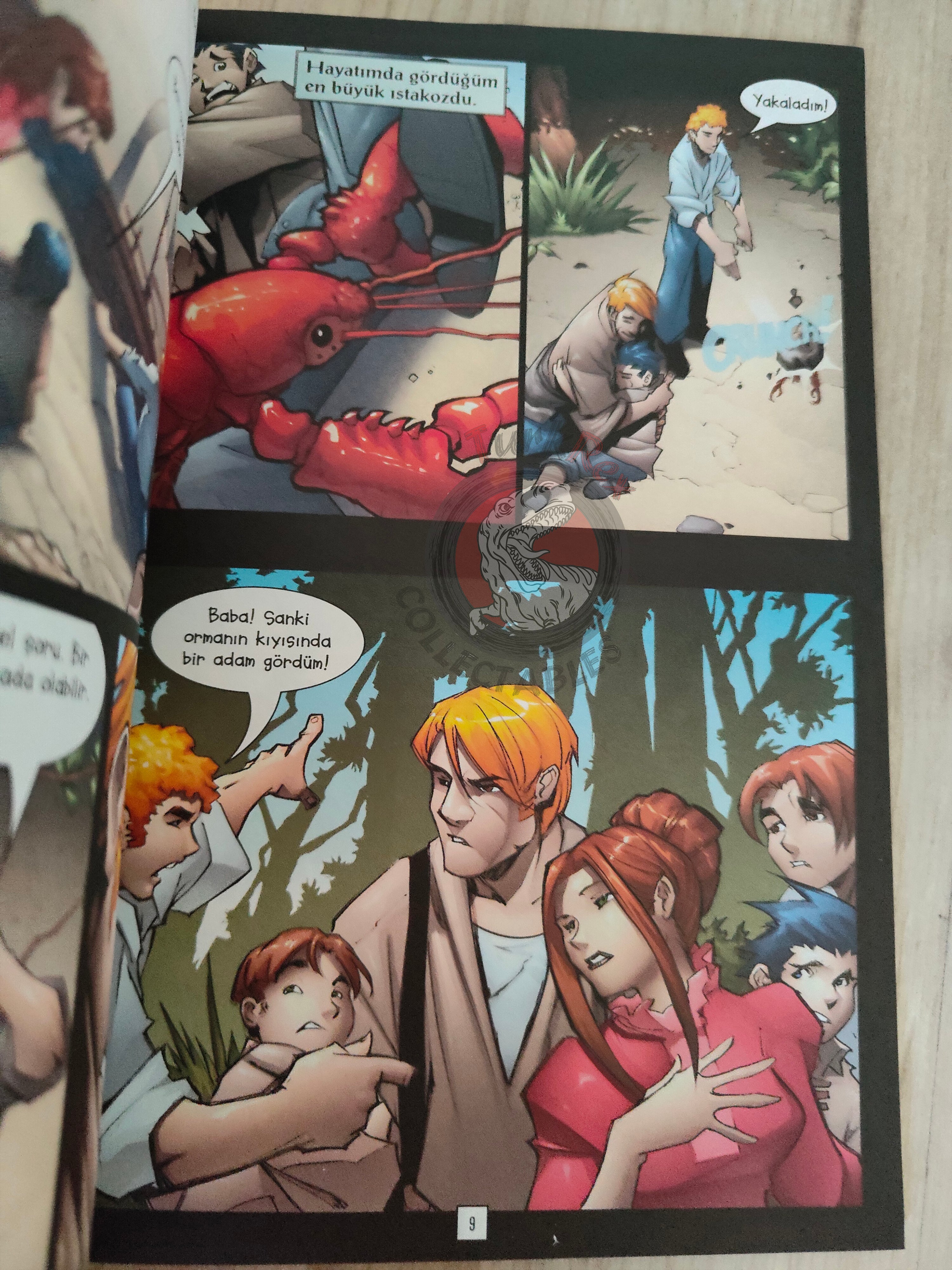 The Swiss Family Robinson – Johann David Wyss Turkish Comic Turkey Stone Arch Books