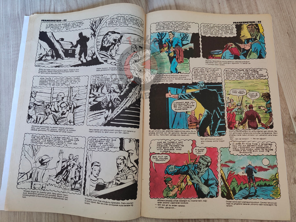 Frankenstein – Mary Shelley Turkish Comic Turkey Classics Illustrated