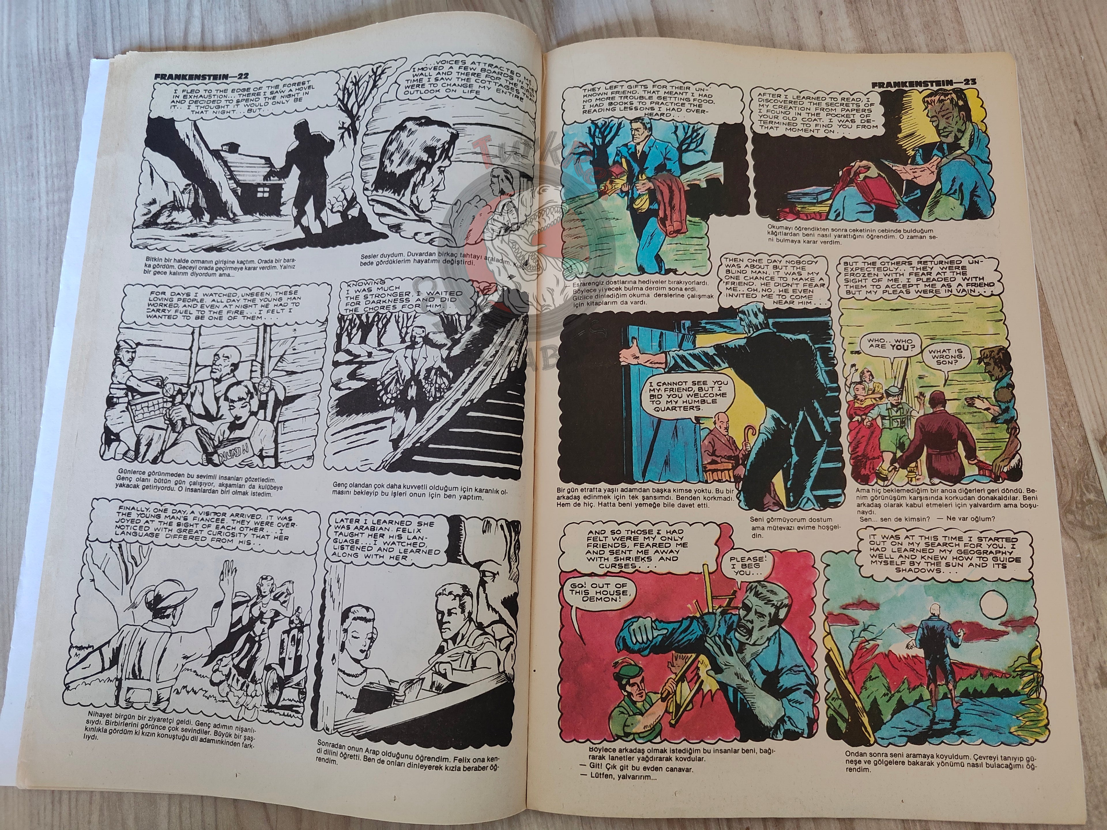 Frankenstein – Mary Shelley Turkish Comic Turkey Classics Illustrated