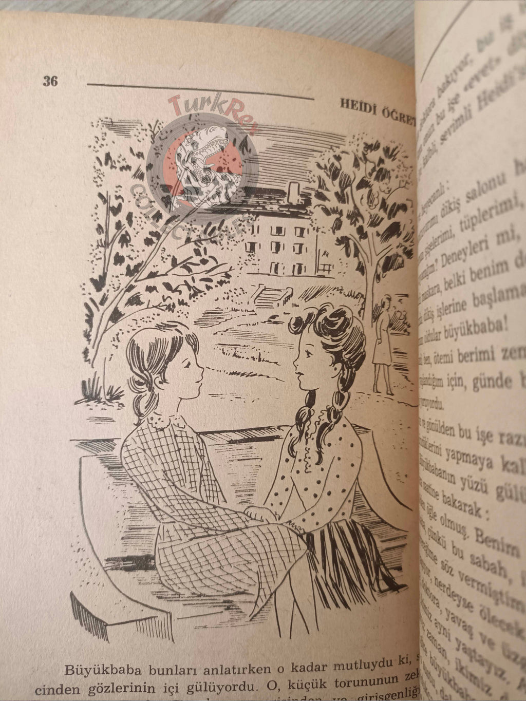 Johanna Spyri – Heidi Grows Up 1966 Turkish Book Turkey Illustrated