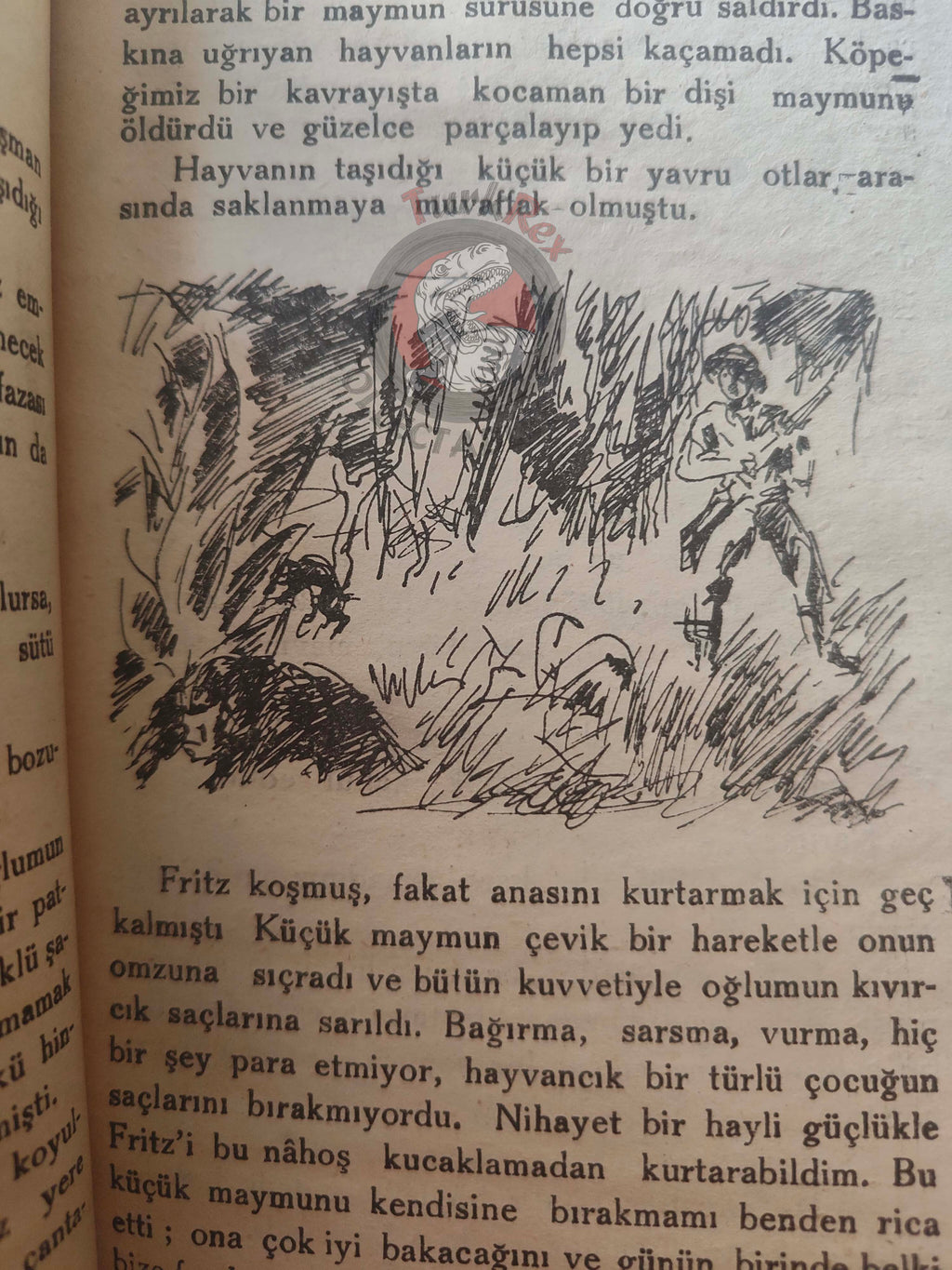 Johann David Wyss – The Swiss Family Robinson 1946 Turkish Book Turkey Illustrated