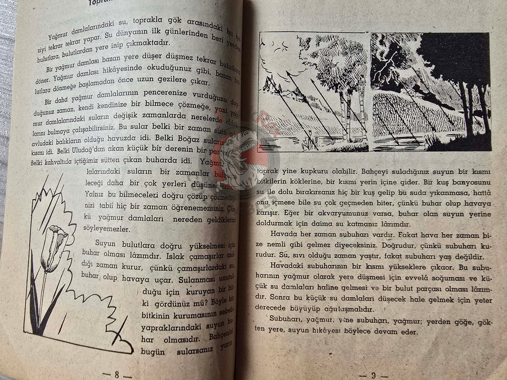 Bertha Morris Parker – Basic Science Education Series 1960s Turkish Book Turkey Clouds, Rain, and Snow