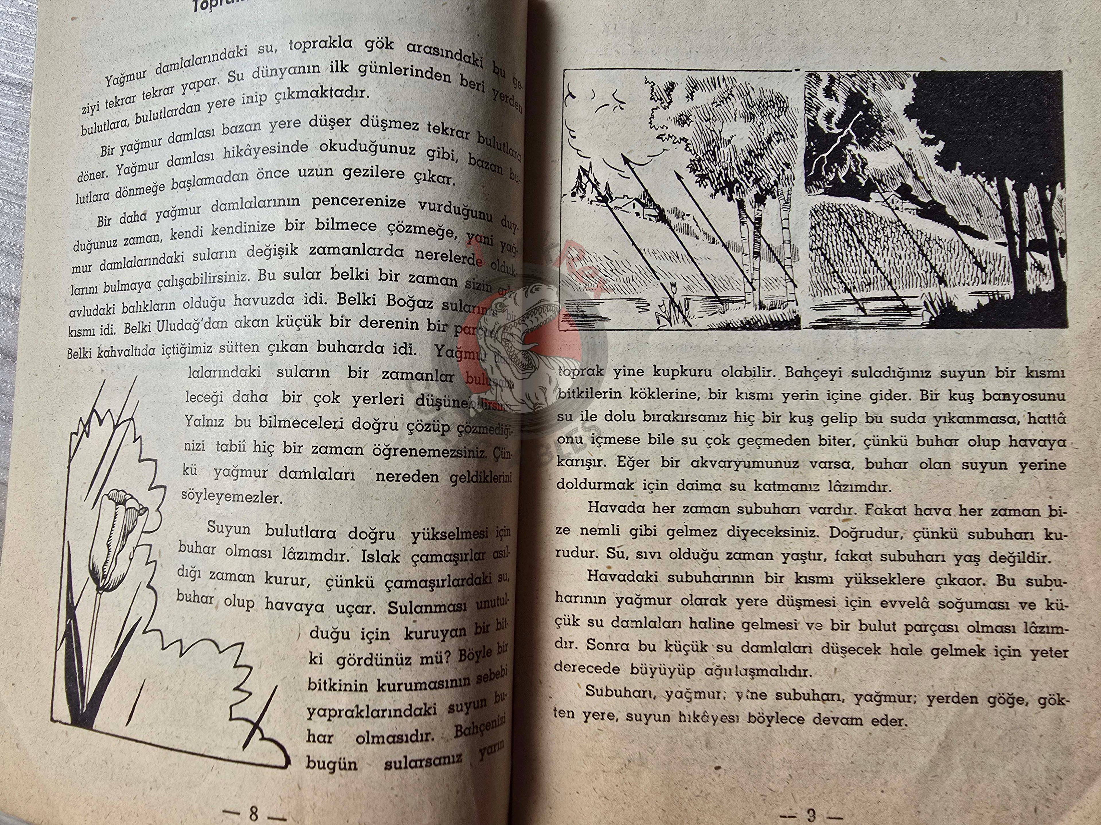 Bertha Morris Parker – Basic Science Education Series 1960s Turkish Book Turkey Clouds, Rain, and Snow
