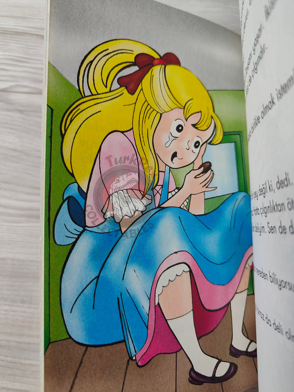 Lewis Carroll – Alice in Wonderland 2009 Turkish Book Turkey Illustrated Gülinaz