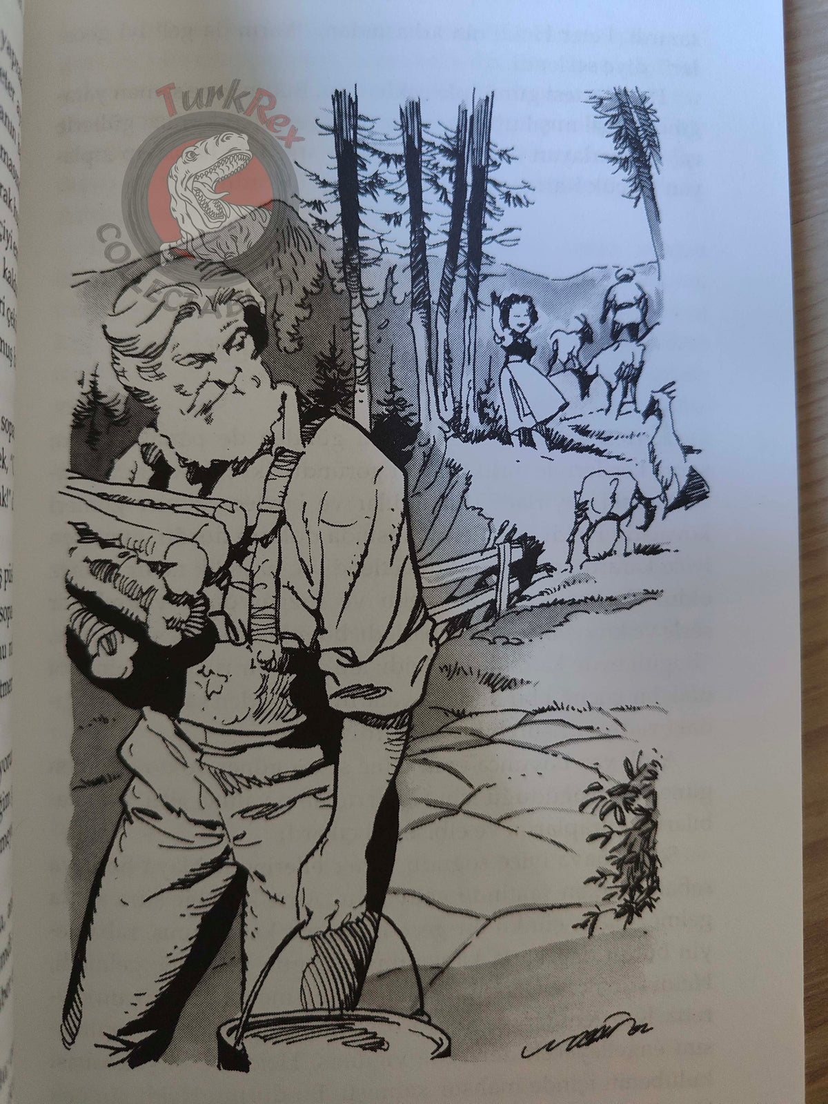 Johanna Spyri – Heidi 2002 Turkish Book Turkey Illustrated