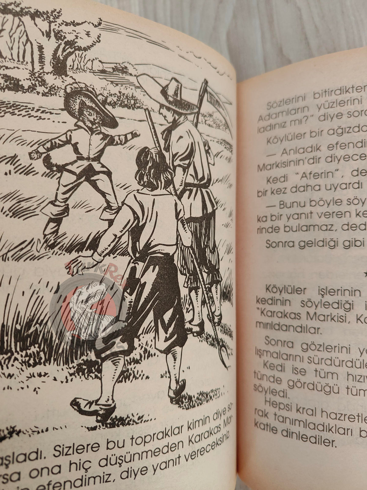 Puss in Boots – Grimm Brothers 1992 Turkish Book Turkey Illustrated