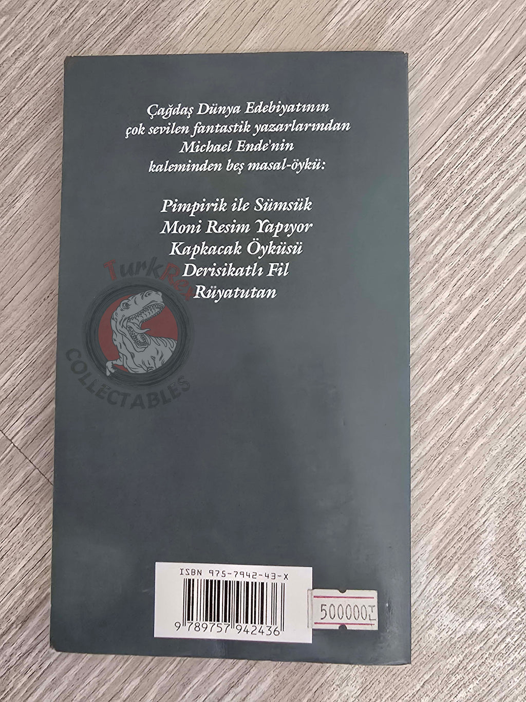Michael Ende – Die Zauberschule 1995 1st Turkish Book Turkey Illustrated
