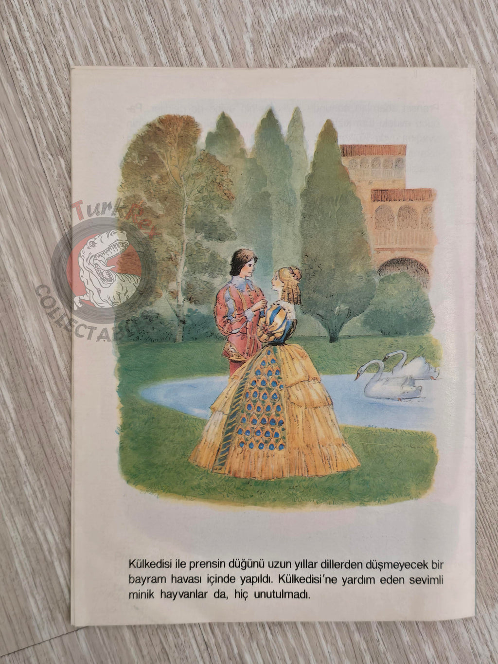 Grimm Brothers – Cinderella 1984 Turkish Book Turkey Illustrated