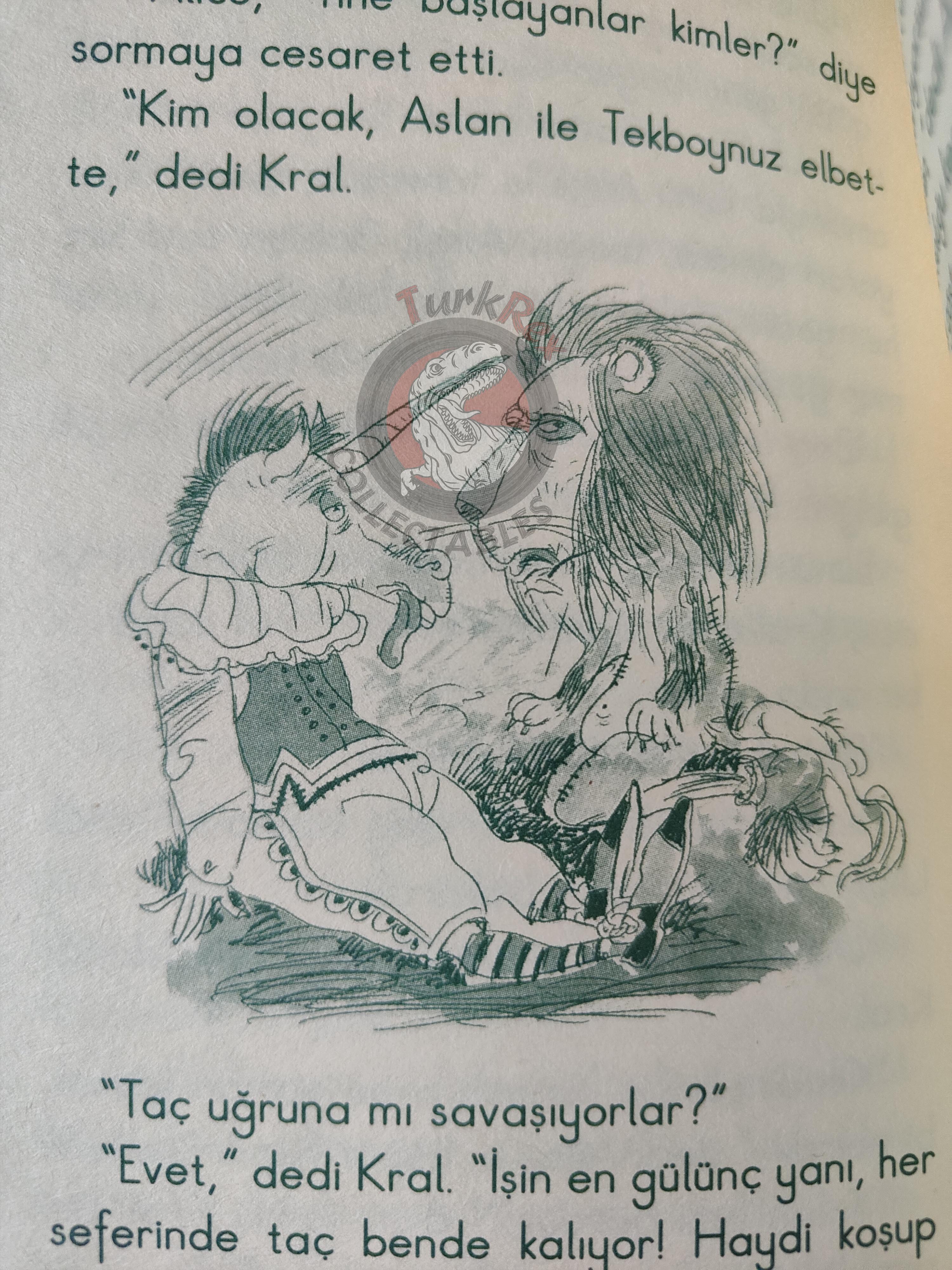 Lewis Carroll – Through the Looking-Glass 2006 Turkish Book Turkey Illustrated