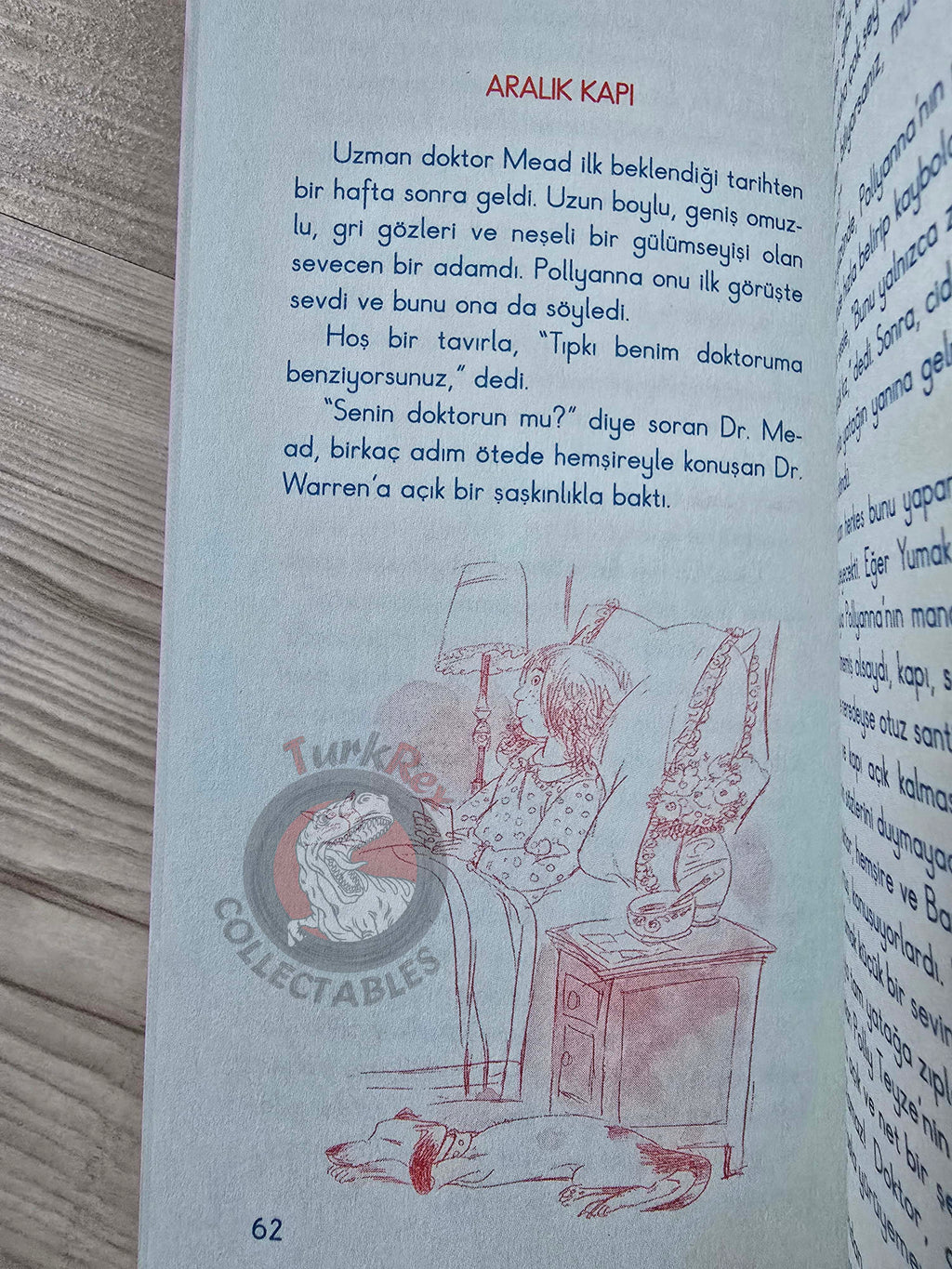 Eleanor H. Porter – Pollyanna 2010 Turkish Book Turkey Illustrated