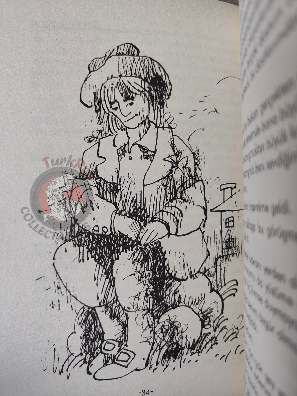 Jonathan Swift – Gulliver's Travels 2011 Turkish Book Turkey Illustrated 2